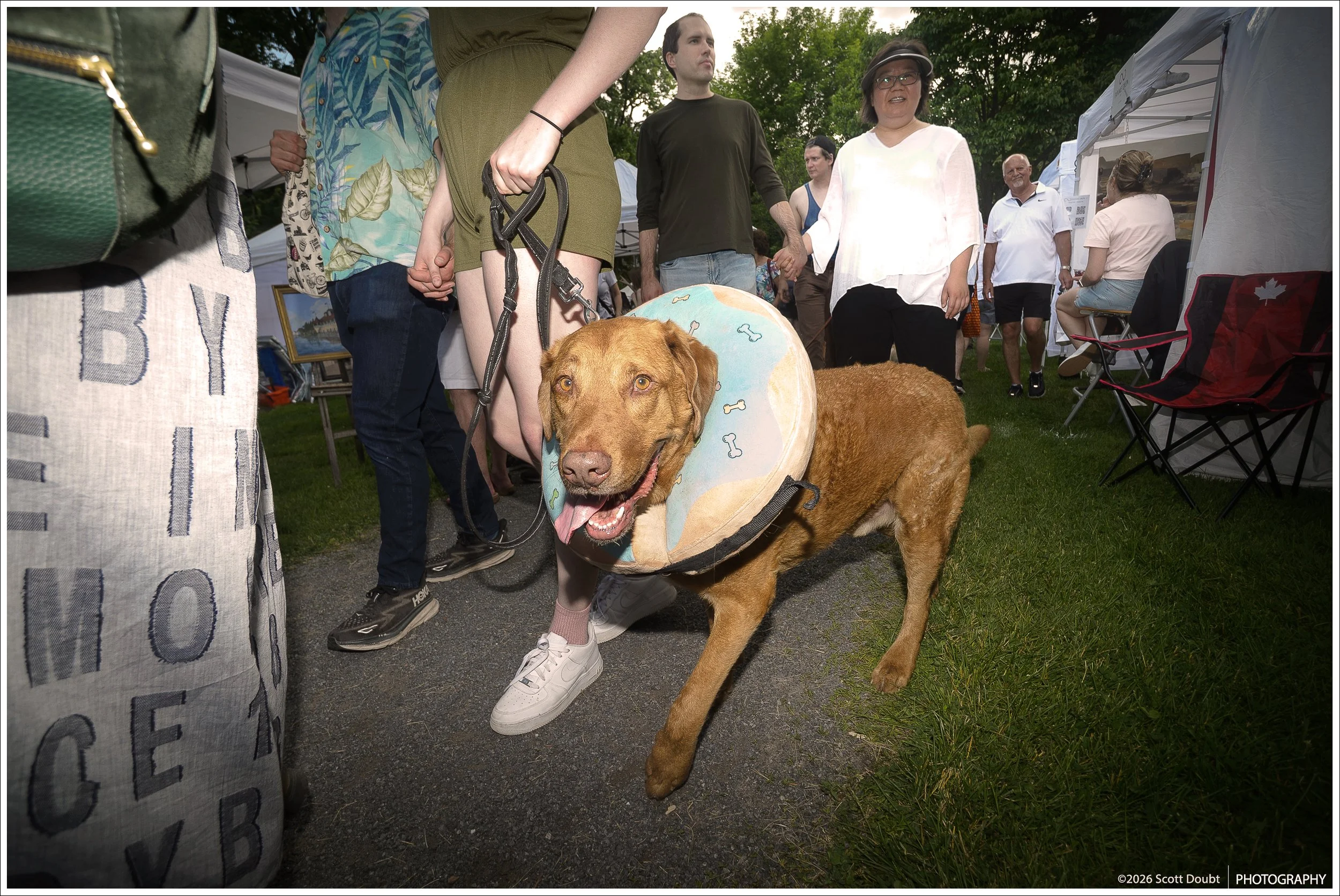 sd3_Art_In_The_Park_Day_01_8524-2.jpg