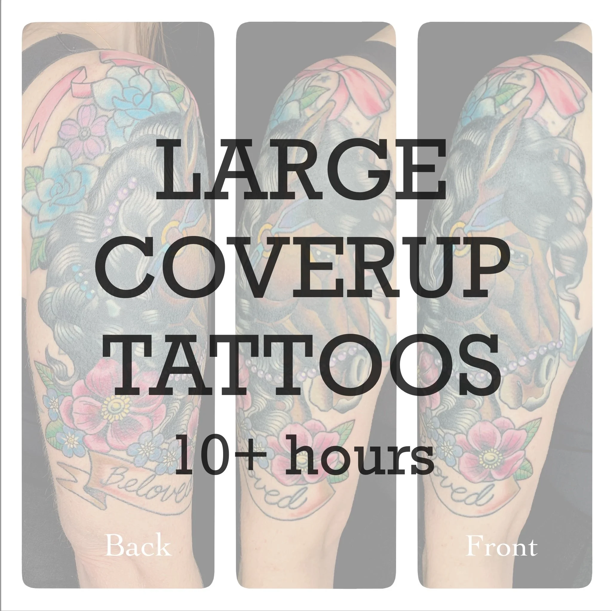 Large Coverup Gallery