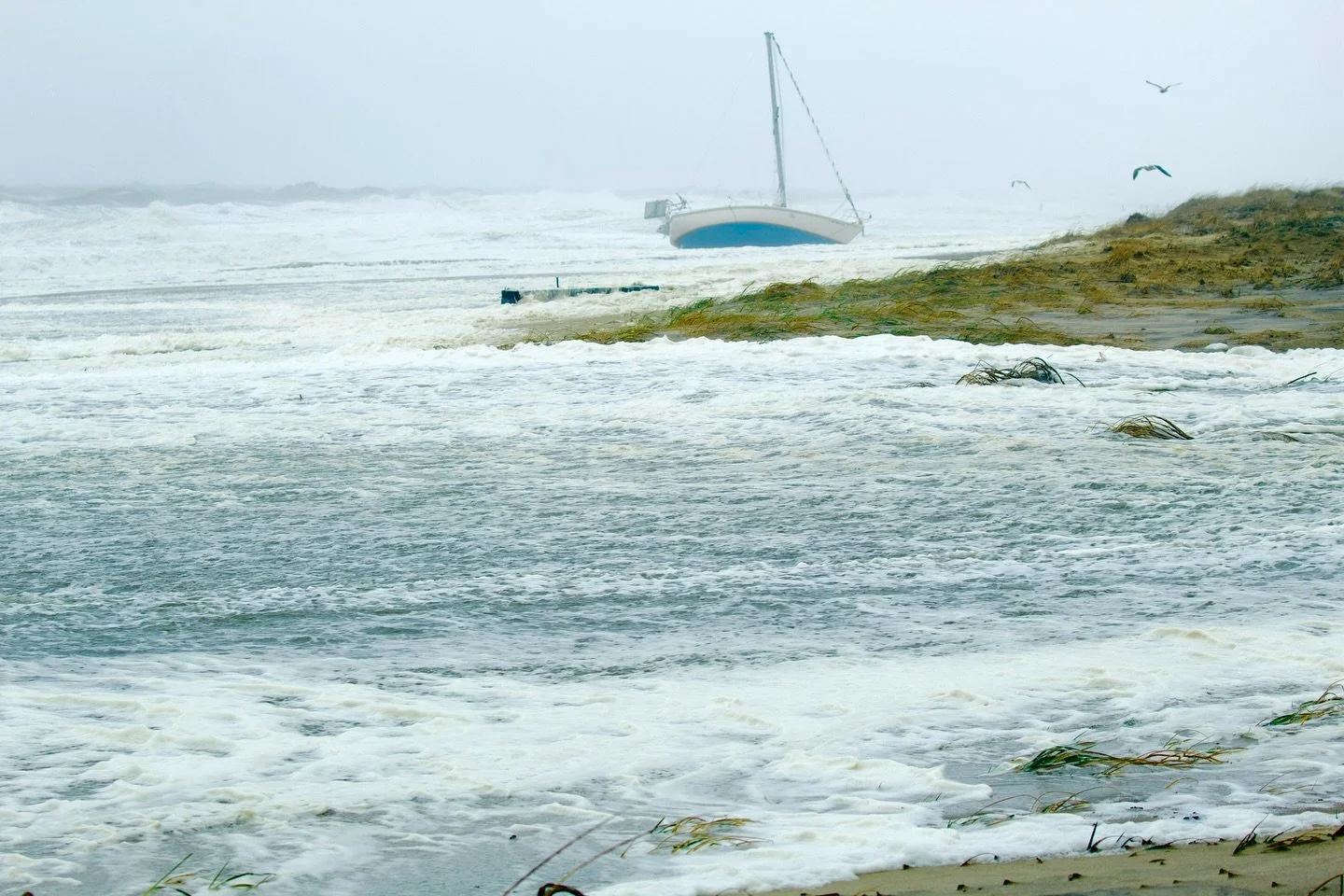 Relentless nor'easter these past 24 hours...
