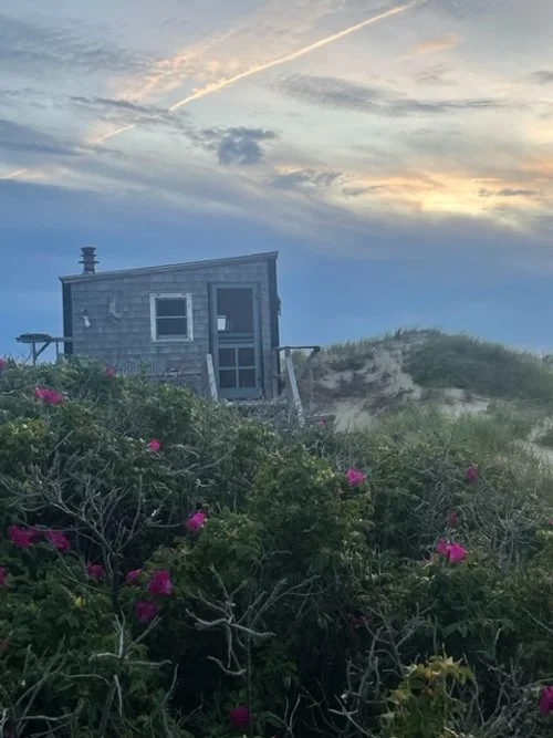 Hazel’s Dune Garden