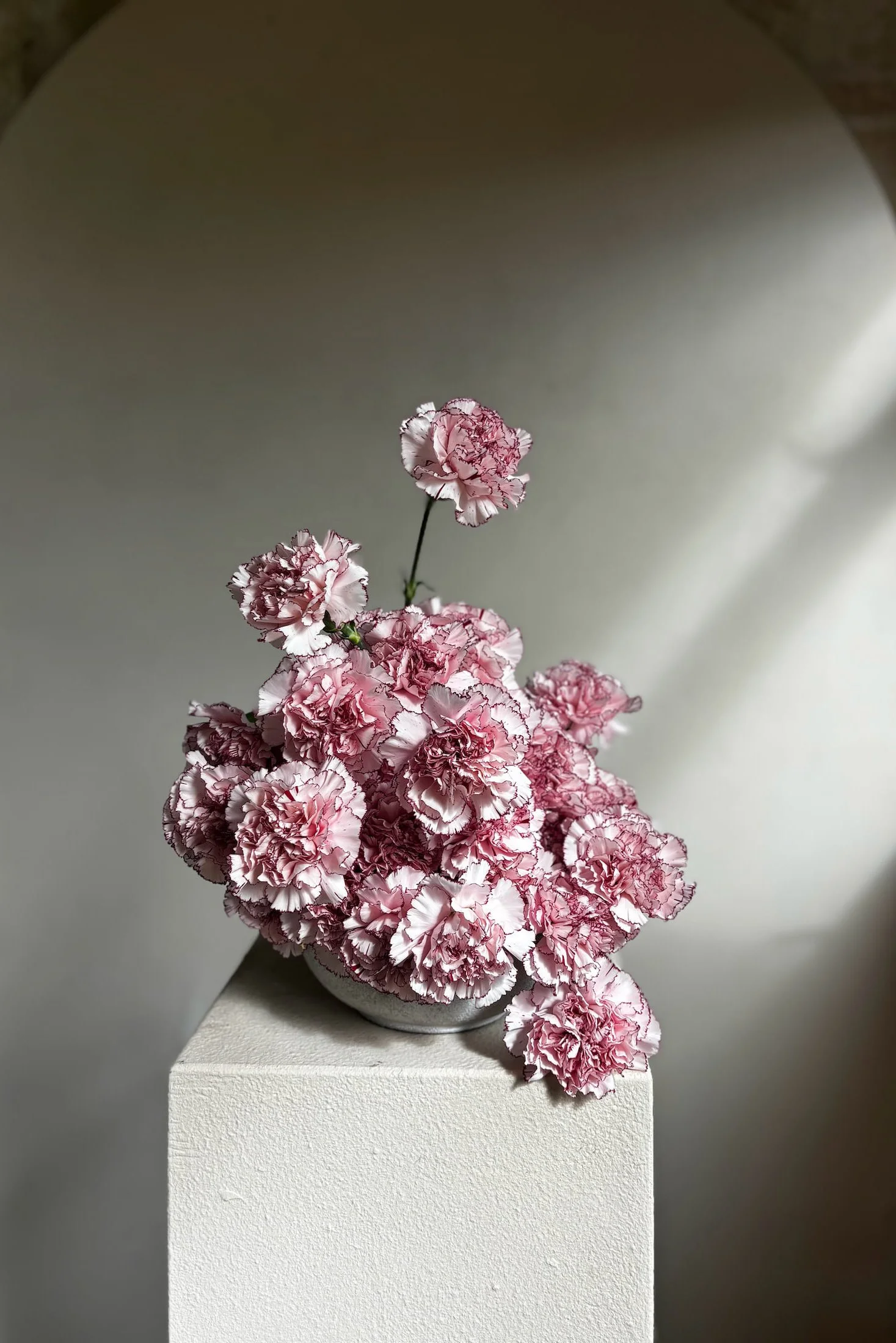 carnations_pink_tables-2 2.JPG