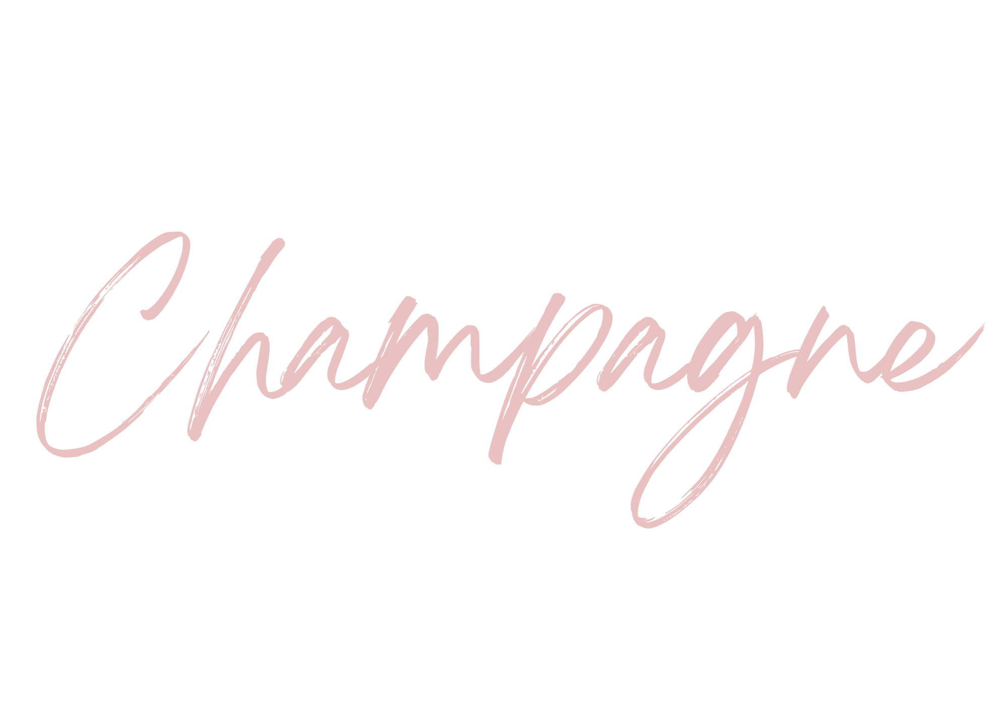 The word 'Champagne' written in elegant, pink cursive script on a black background.