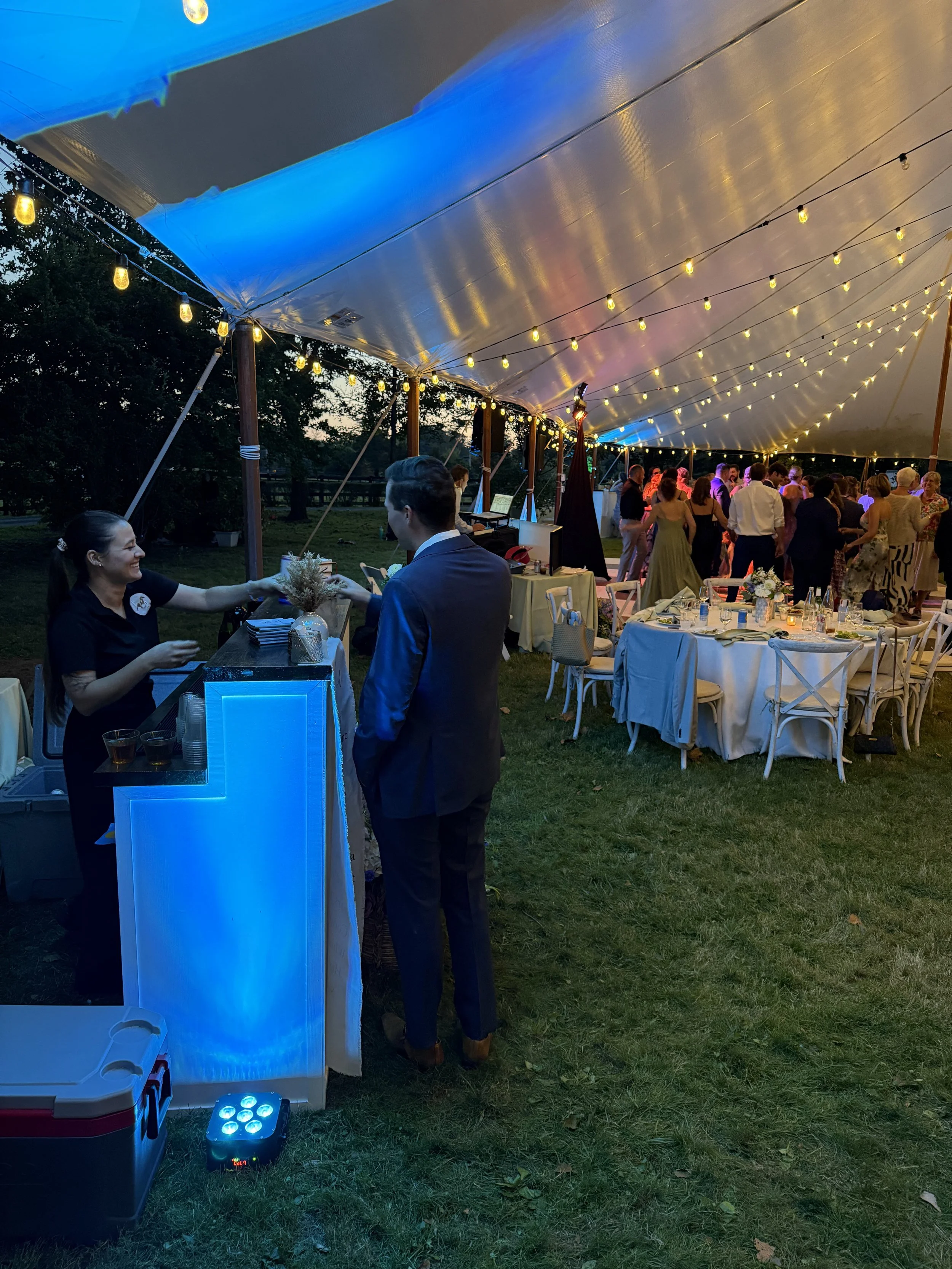 One of our Palomino bars at a wedding on a horse farm in Maryland. Maryland mobile bar services.