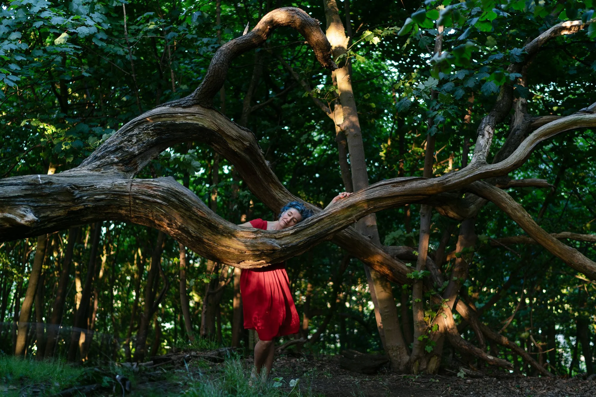 woman in a red dress leaning on an old tree in Fife, Scotland