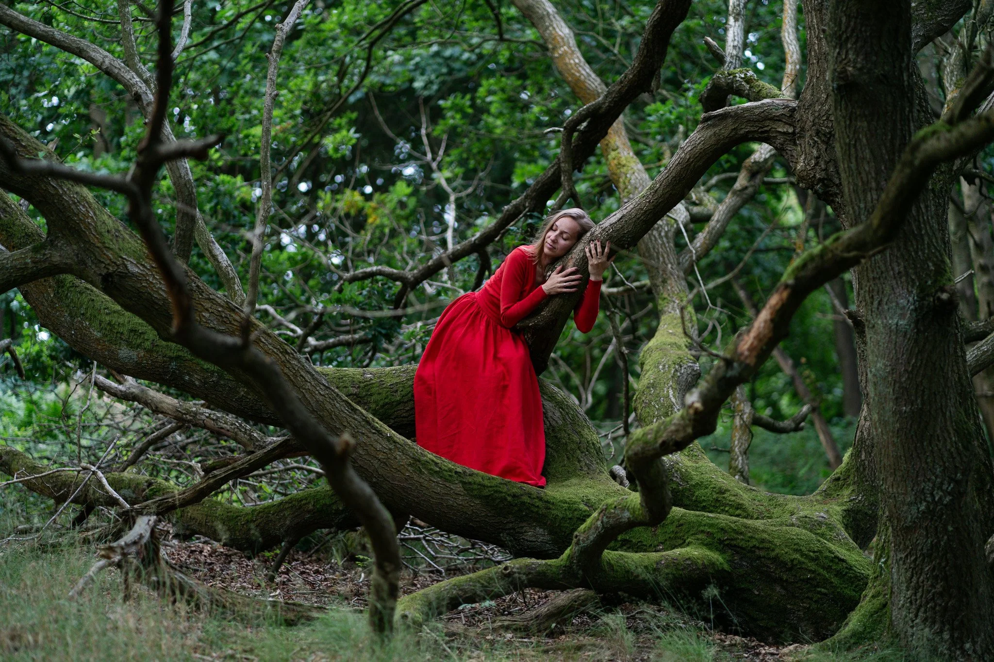feminine portrait of a women in a tree in Scotland