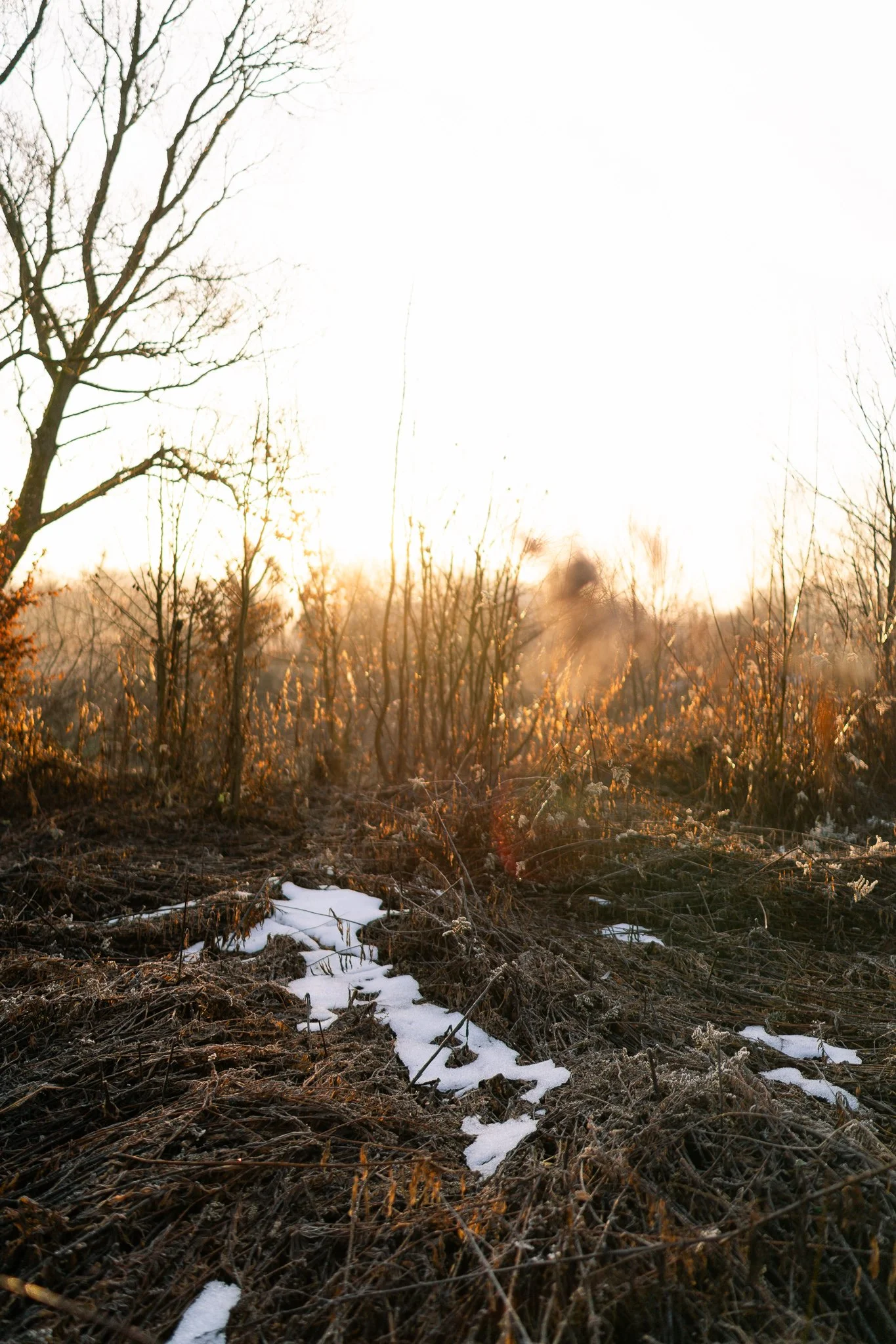2025 12 06 Biecz online-35.jpg