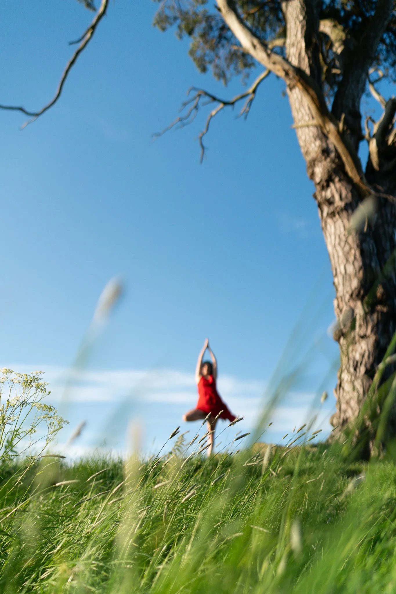 What You’re Really Investing in When You Book a Branding Photographer