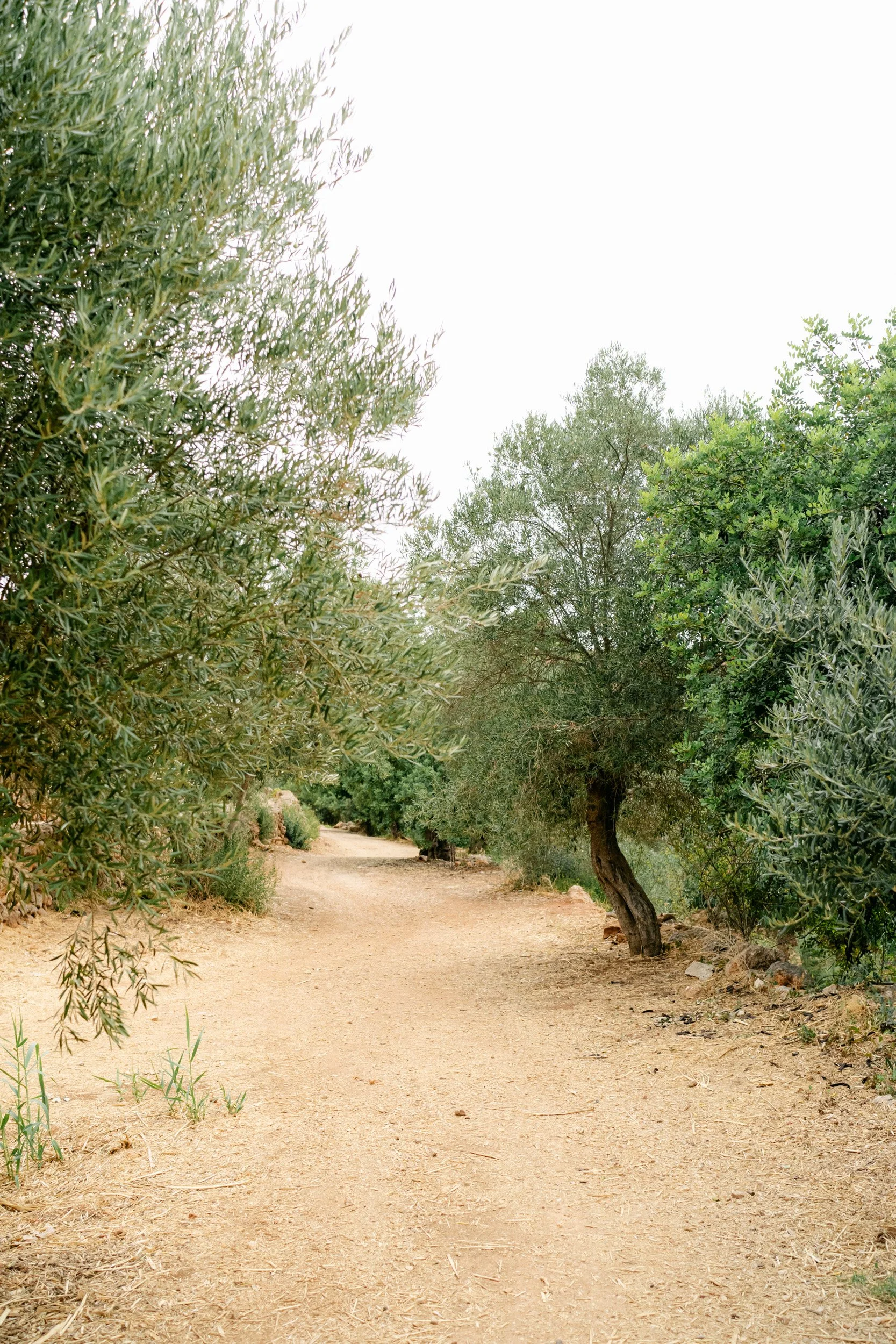 2026 09 02 Algarve for online-31.jpg