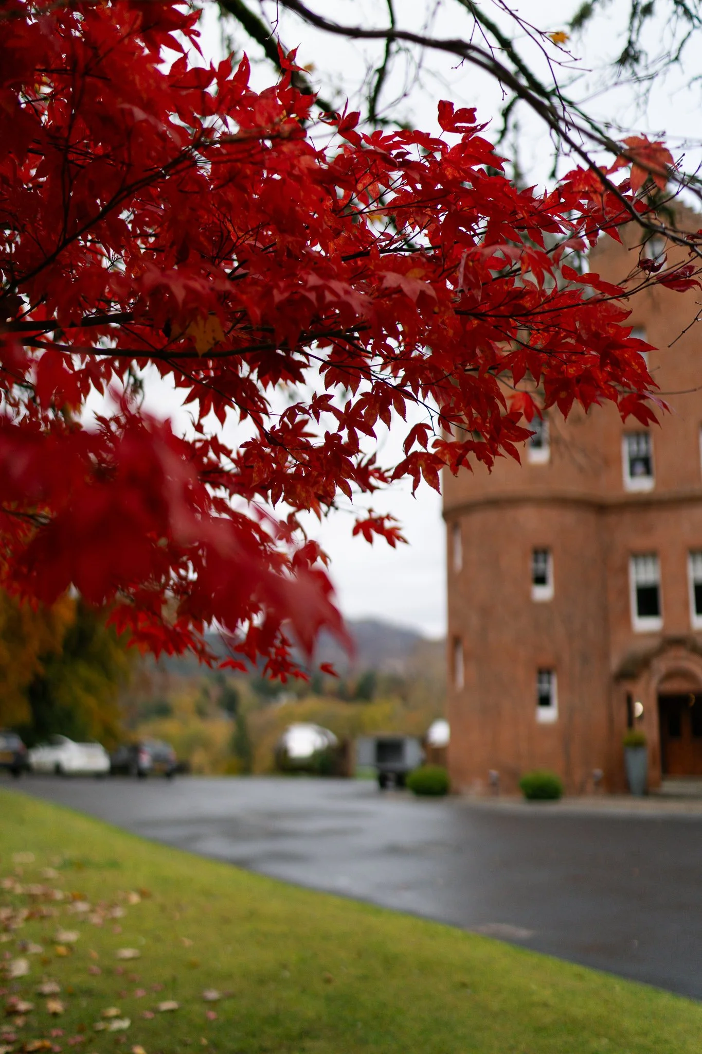 2025 10 30 ljmva online-80.jpg