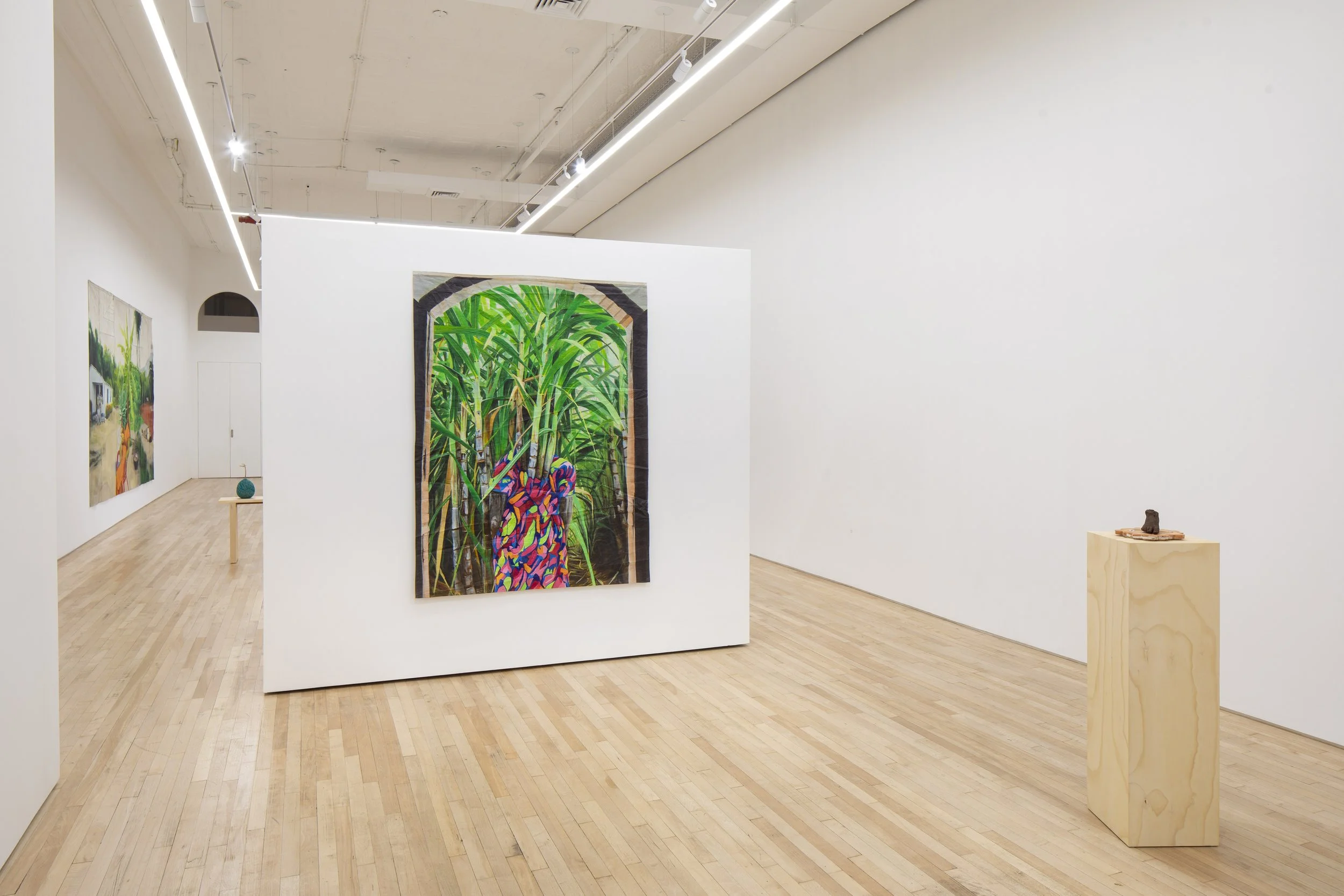 Installation view of   Antecedents  