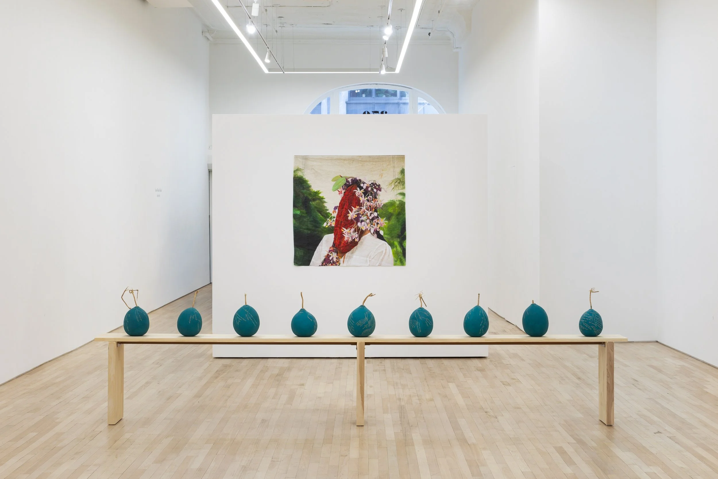 Installation view of   Antecedents  