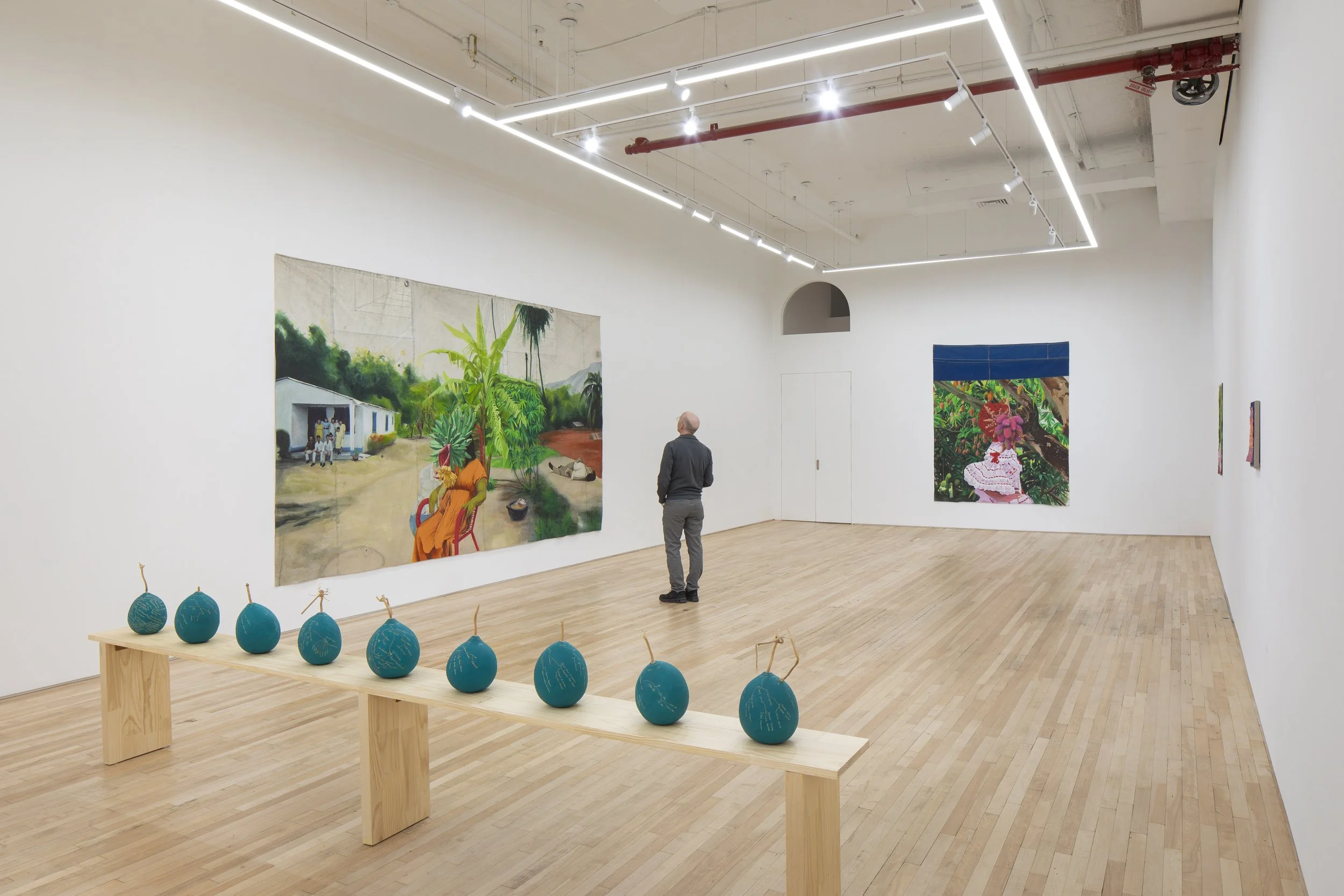 Installation view of   Antecedents  
