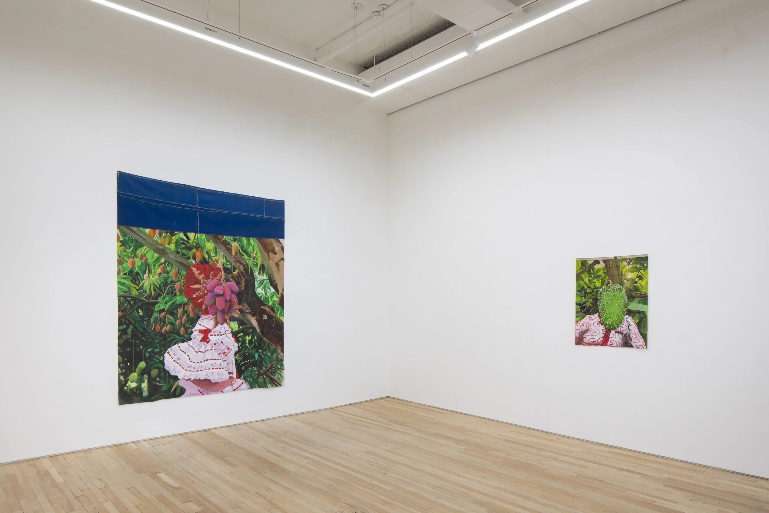 Installation view of   Antecedents  