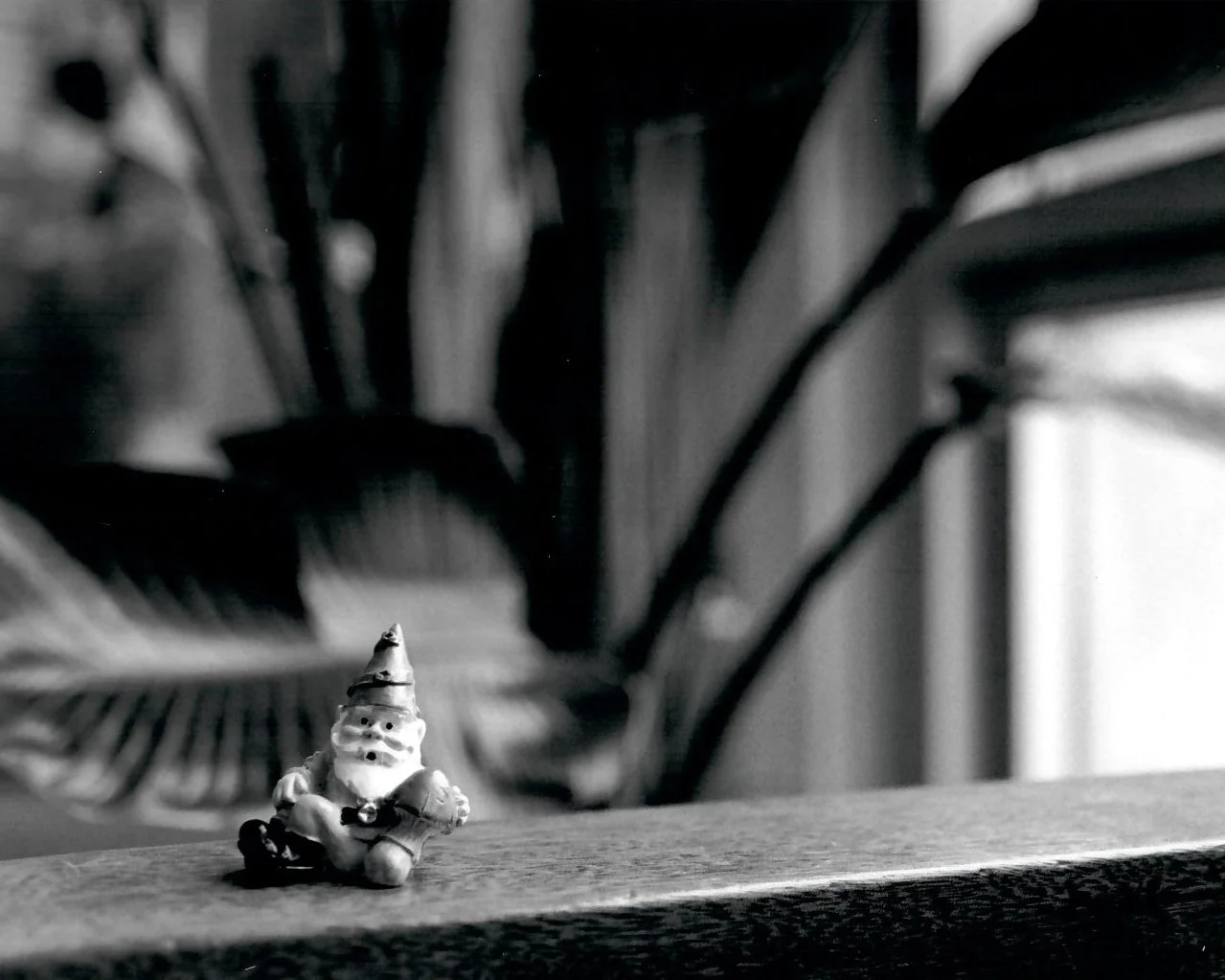 This photo was going to be for a photography project that had unfortunately had to change to digital photography due to the COVID-19 pandemic. I only managed to print this photo before being sent home with out time for more film photography.