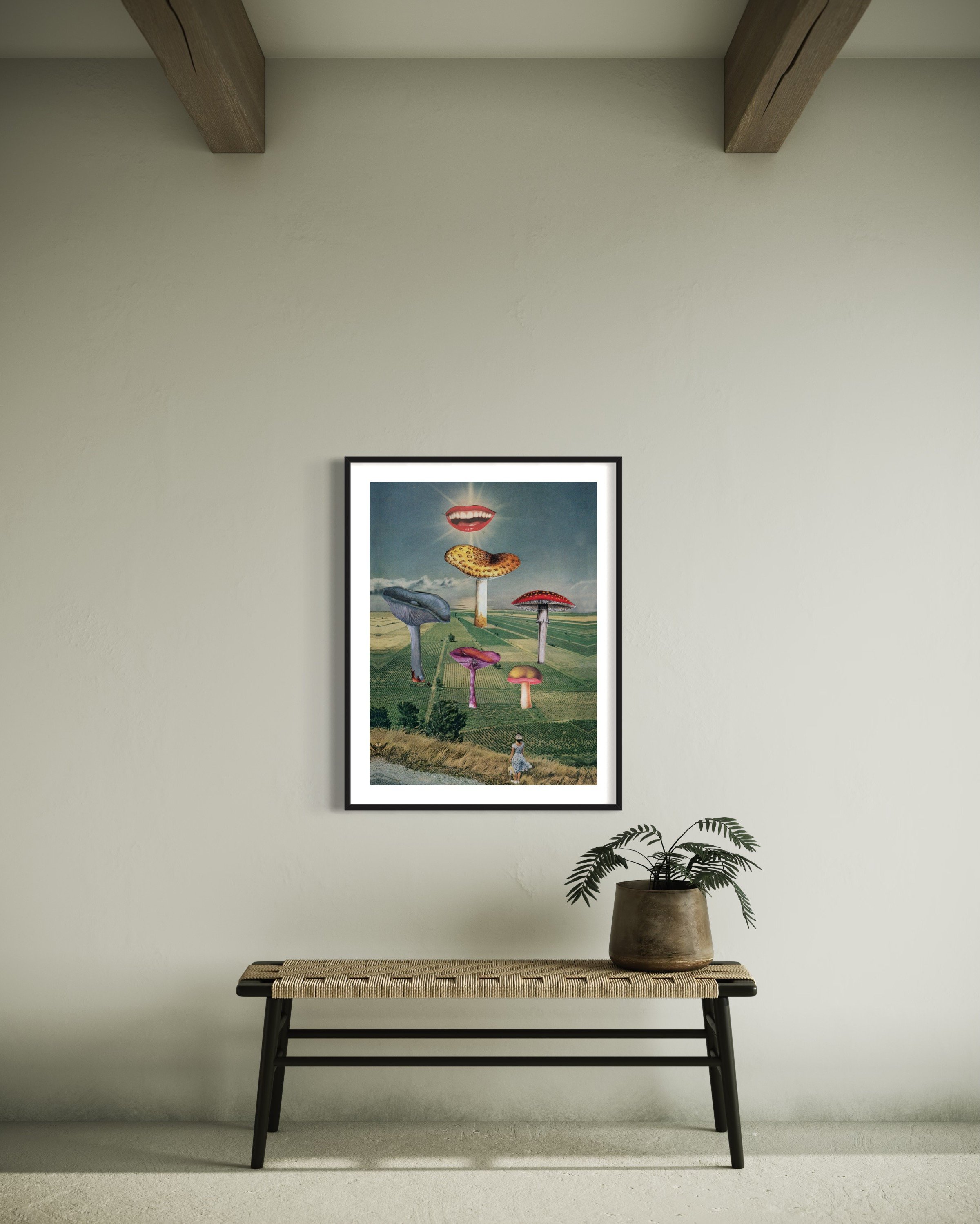 https://i.etsystatic.com/8075227/r/il/00e4fe/5508353447/il_fullxfull.5508353447_gsf7.jpg