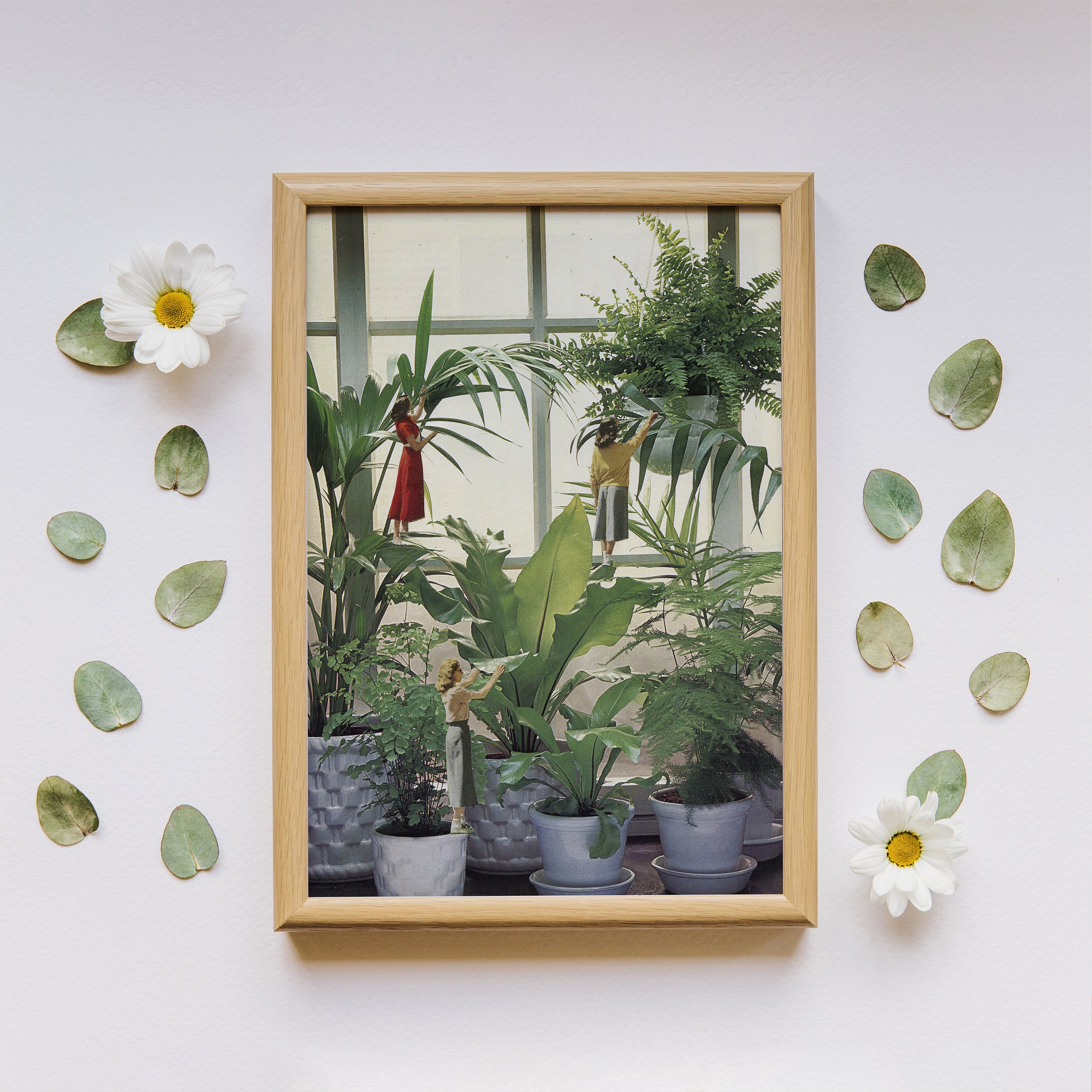 https://i.etsystatic.com/8075227/r/il/7c5157/1583141503/il_fullxfull.1583141503_3pmj.jpg