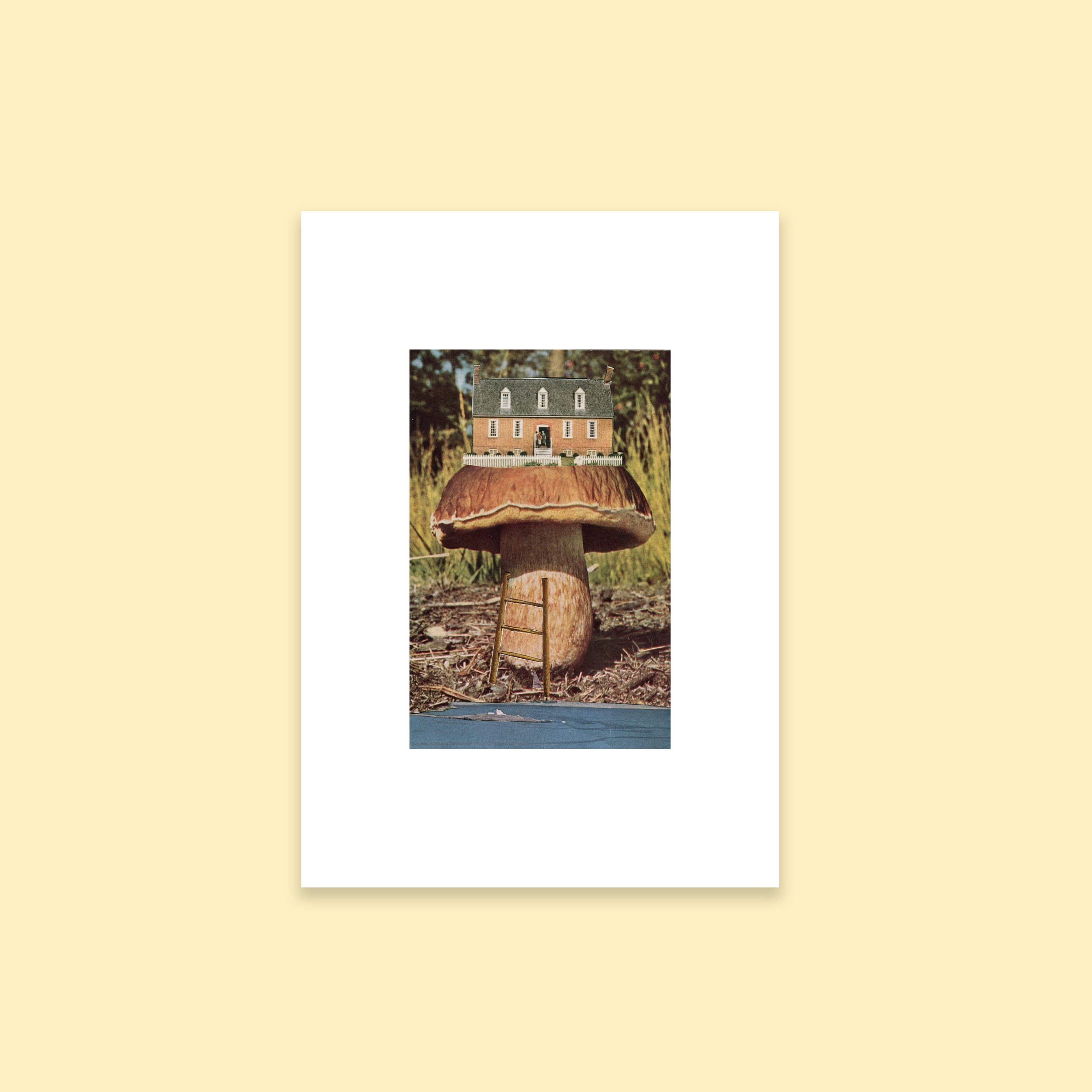 https://i.etsystatic.com/8075227/r/il/e258b1/5063499085/il_fullxfull.5063499085_tw0t.jpg