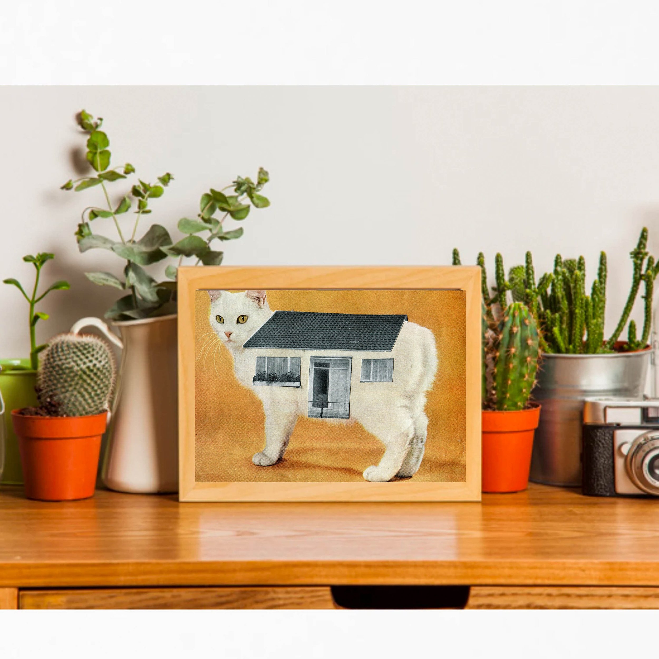 https://i.etsystatic.com/8075227/r/il/bb28f8/3762657199/il_fullxfull.3762657199_k1by.jpg