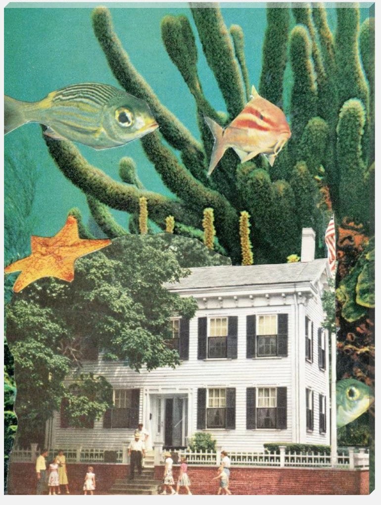 https://i.etsystatic.com/8075227/r/il/c71e78/4694877490/il_fullxfull.4694877490_31nv.jpg