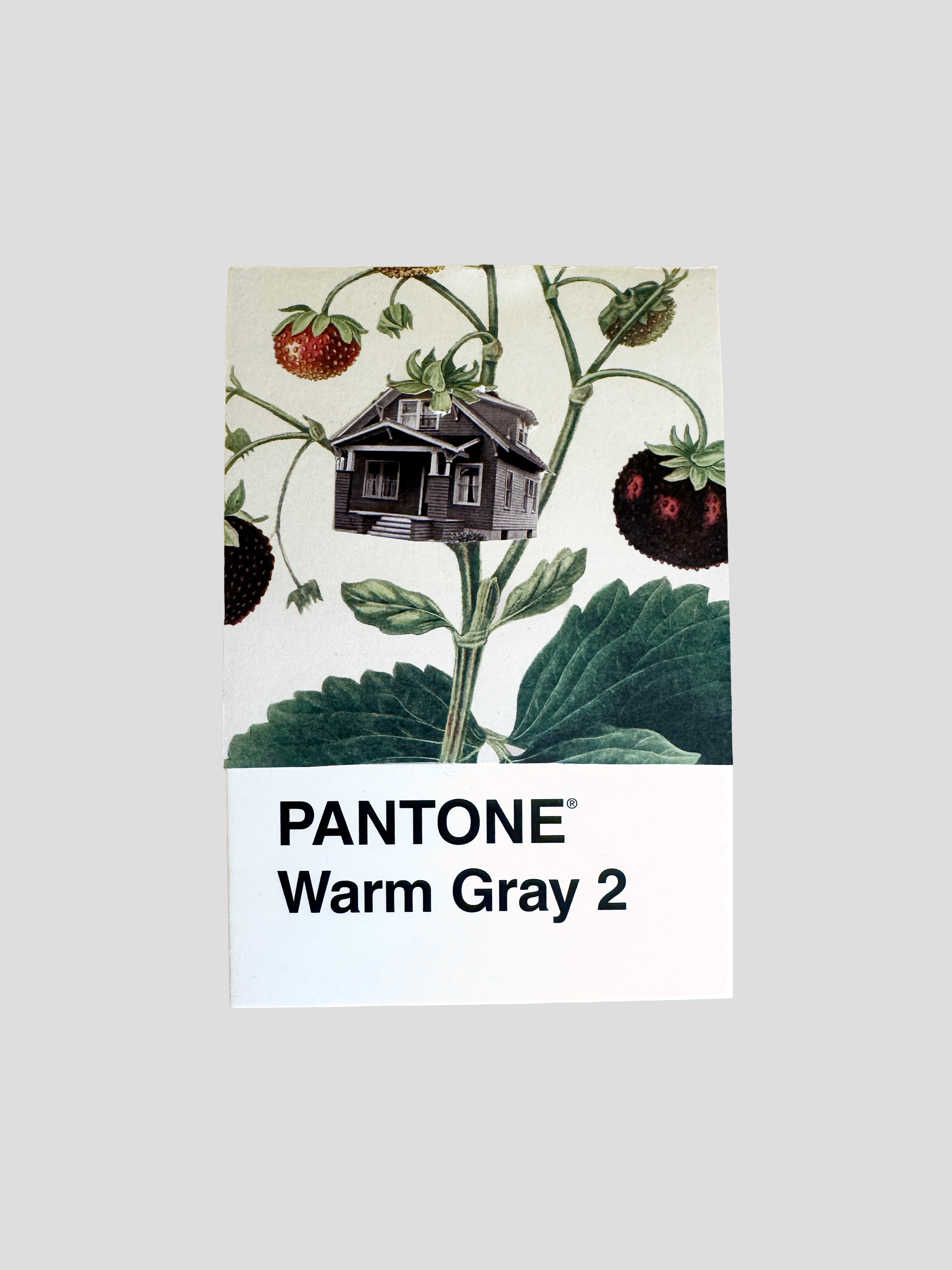 Home original Pantone collage