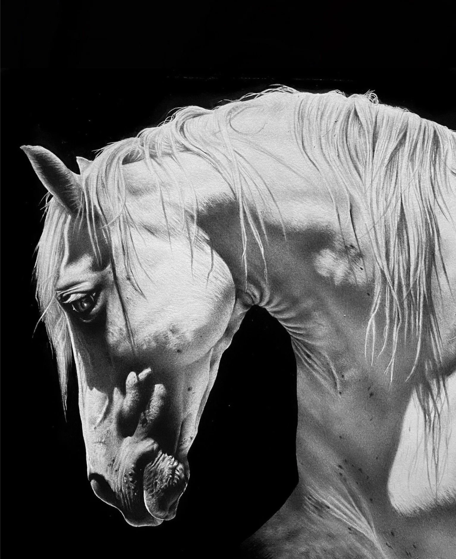 Pencil + Acrylic background
