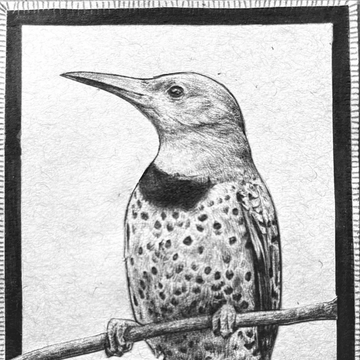 Illustrations