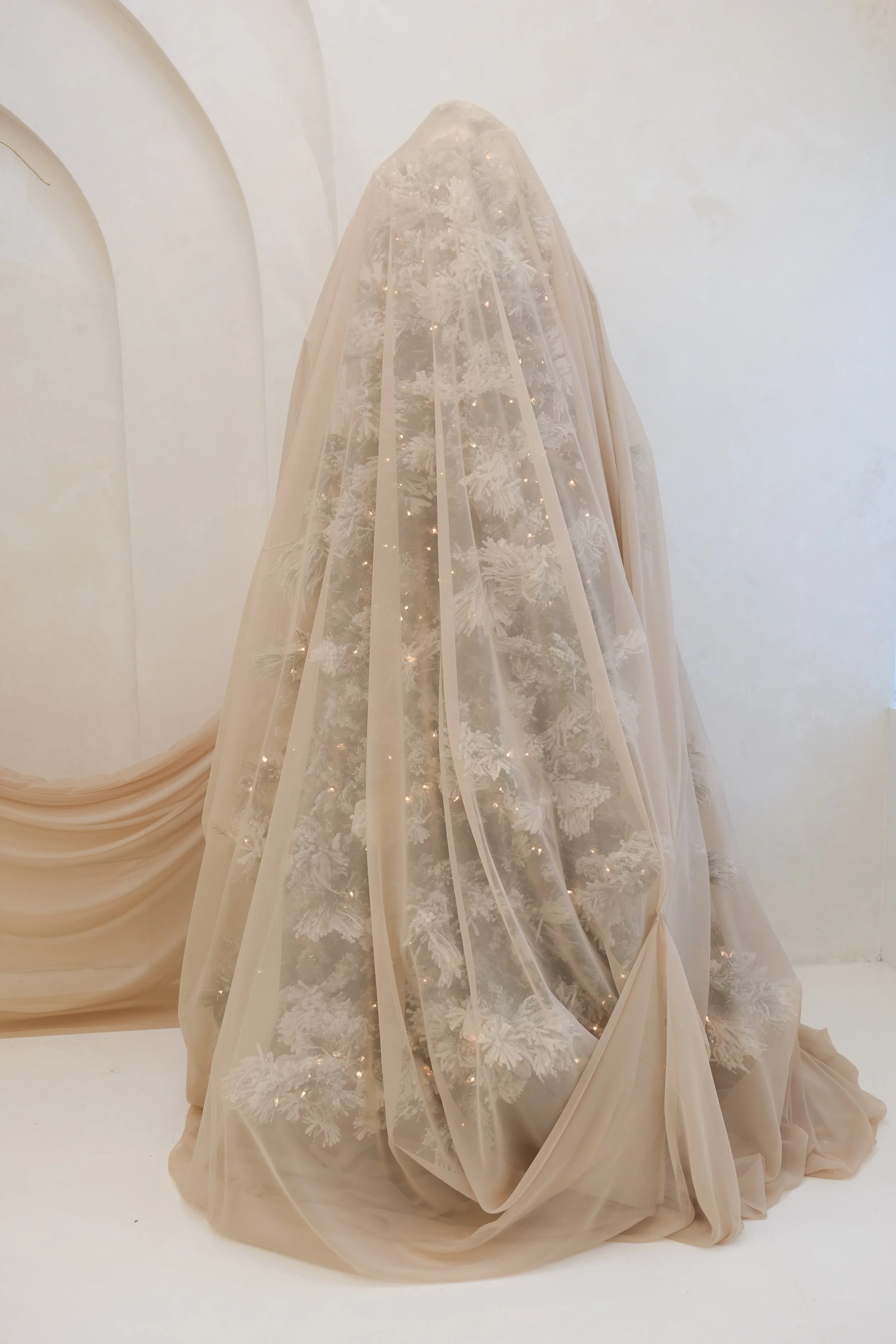 DSCF8785.jpg