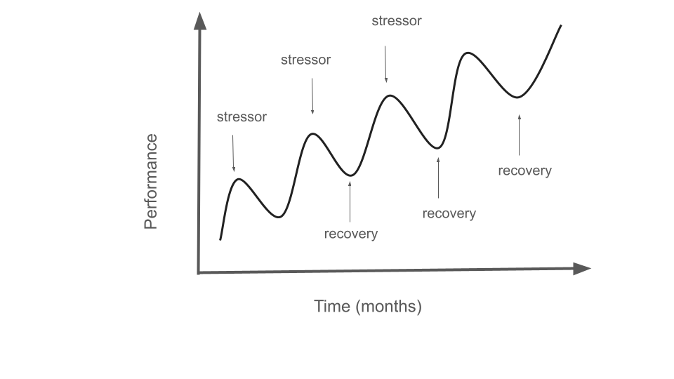 Do I need a personalized strength training program? | Tina McInnes