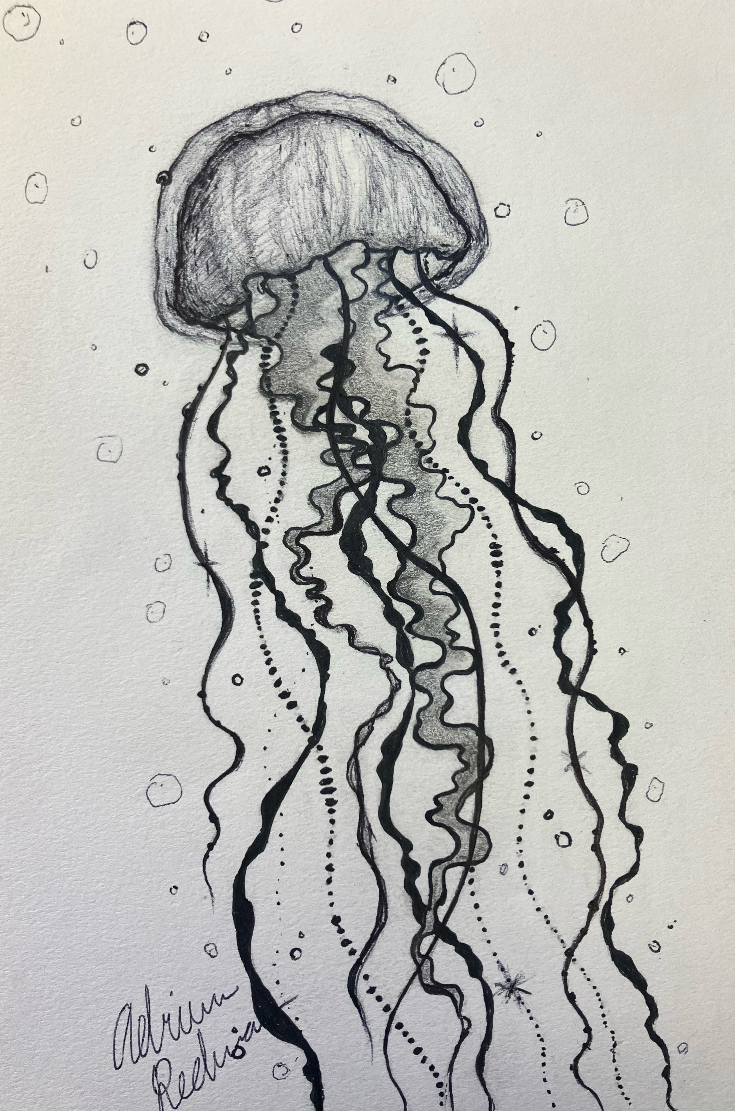 Little Jellyfish, March 2024.
