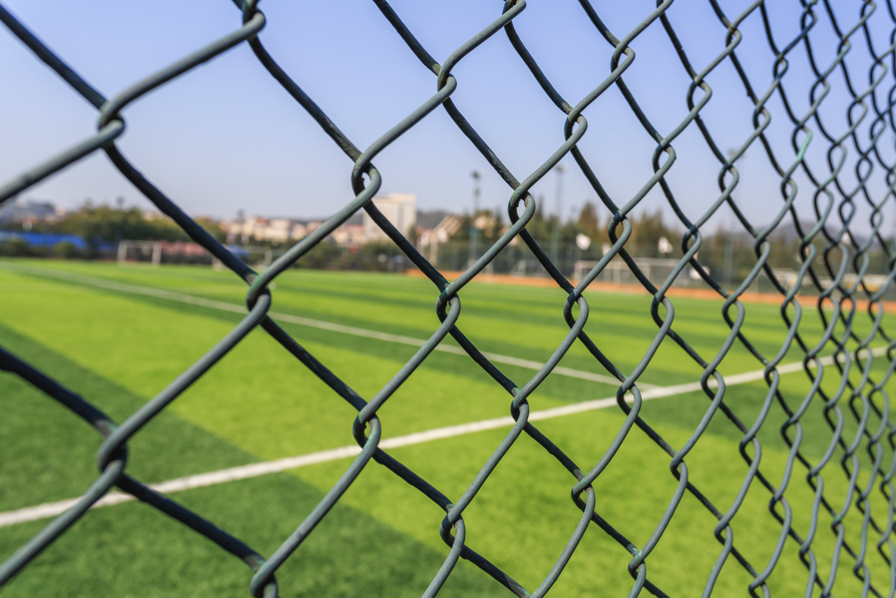 Chainlink Fence Large.png