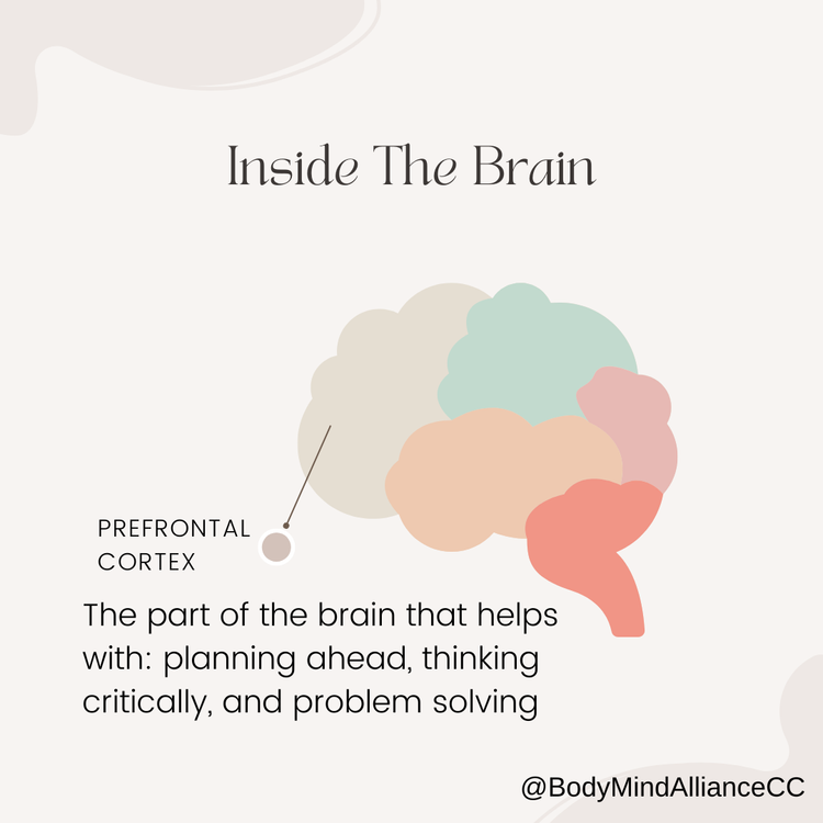 Infographic of a brain pointing to the frontal lobe which is the rounded end that sits behind the forehead with text that reads "Prefrontal Cortex The part of the brain that helps with: planning ahead, thinking critically, and problem solving"