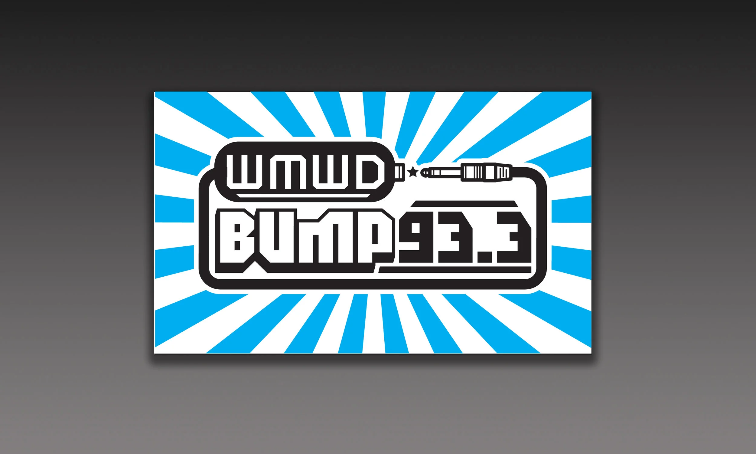 Bump_BCVectorFront.jpg