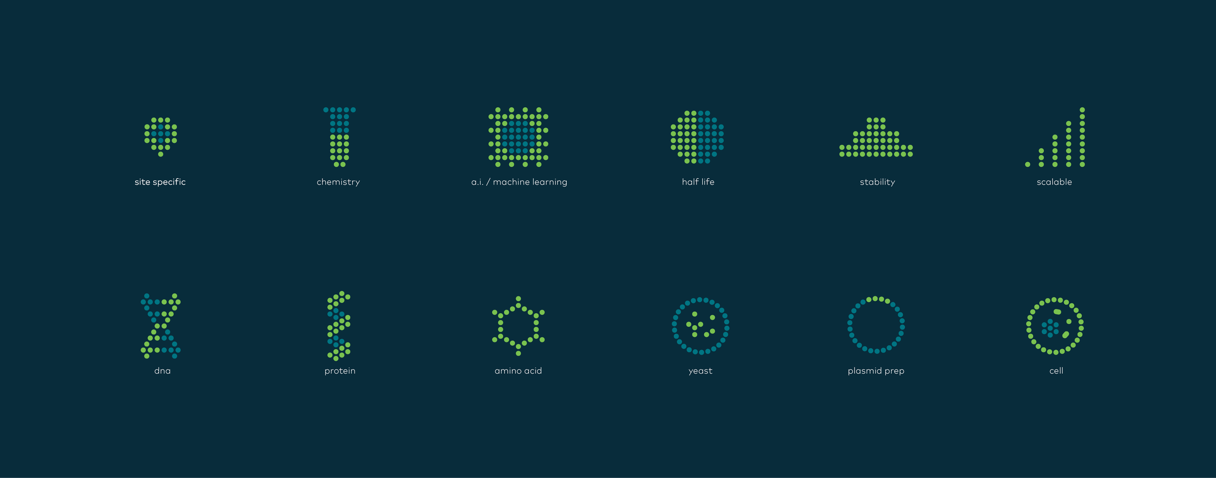 Neochromosome_Icons@4x.png