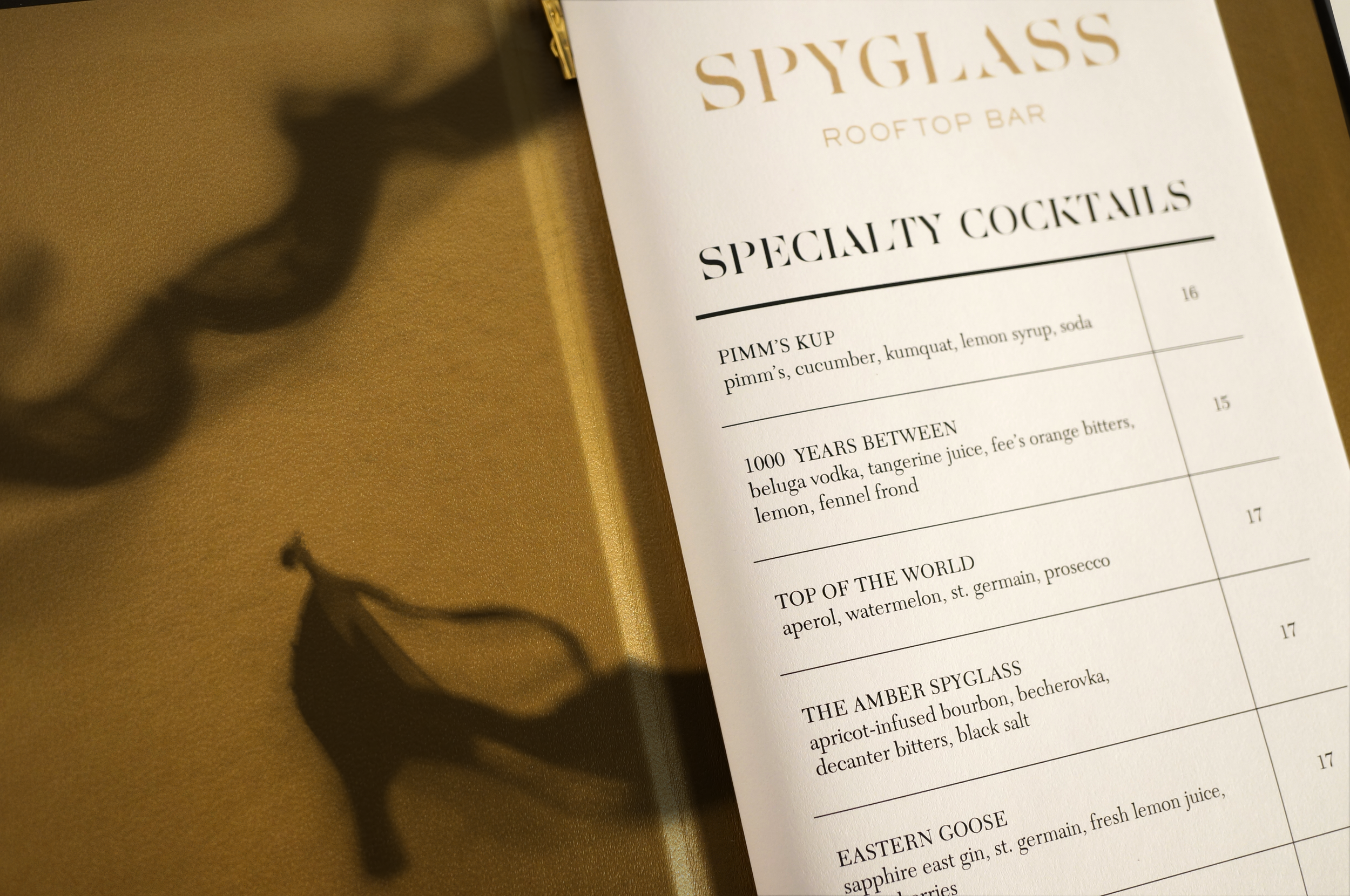 SpyglassMenu_Interior_WideScreened copy.png