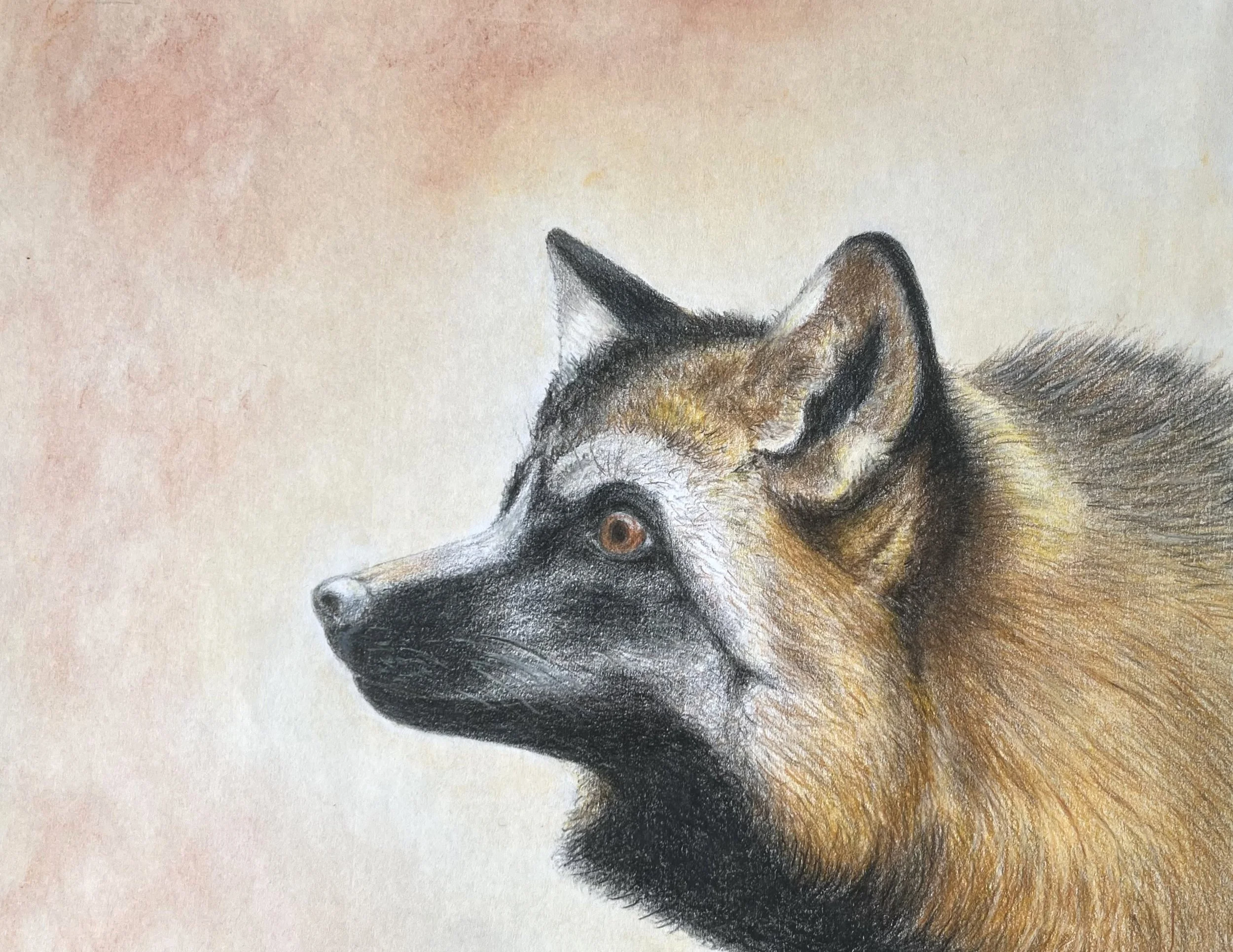 Colored Pencil, Pastel, Charcoal