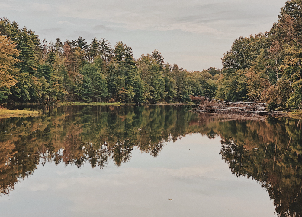Fall in Philadelphia