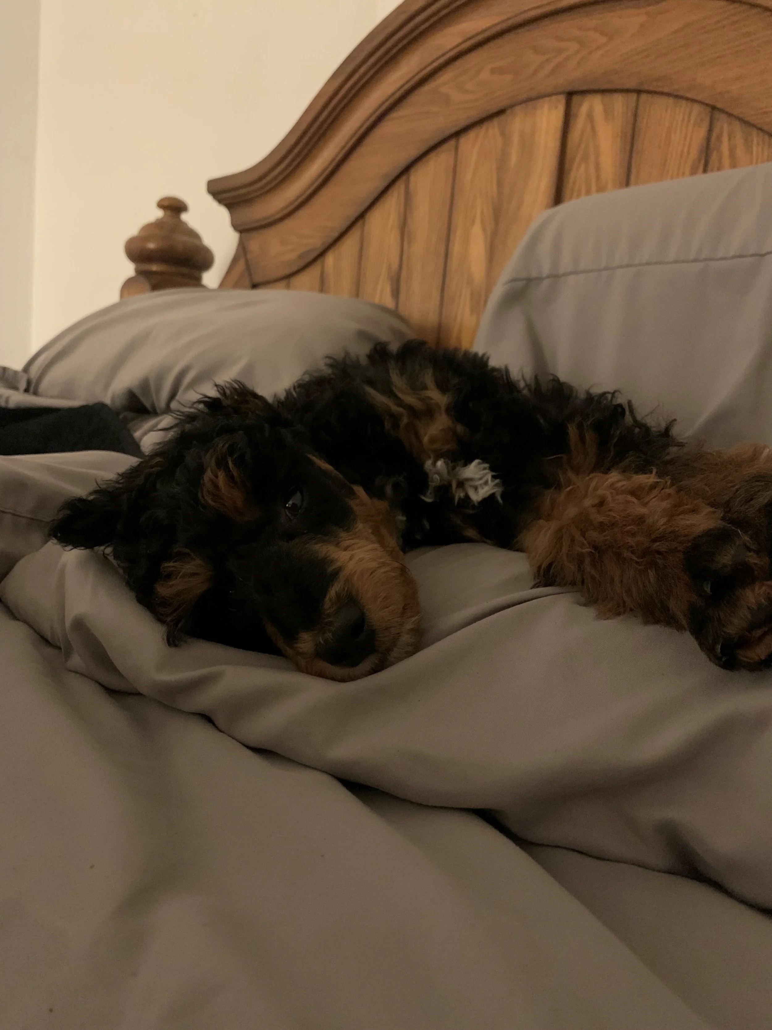 Cash in bed.jpg