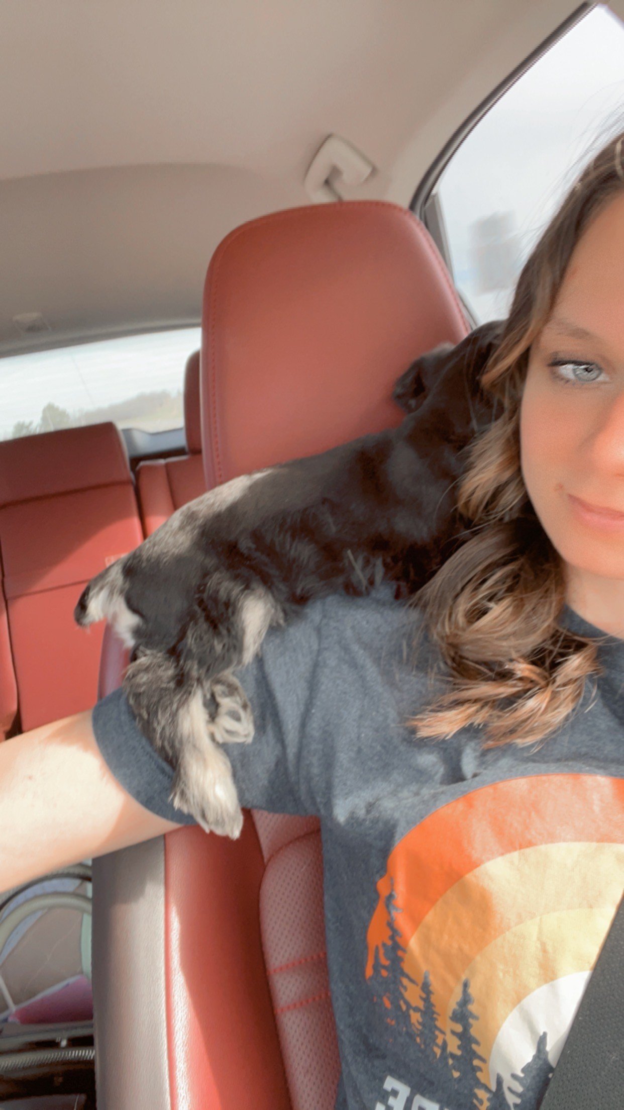 Sis and Bandit.jpg