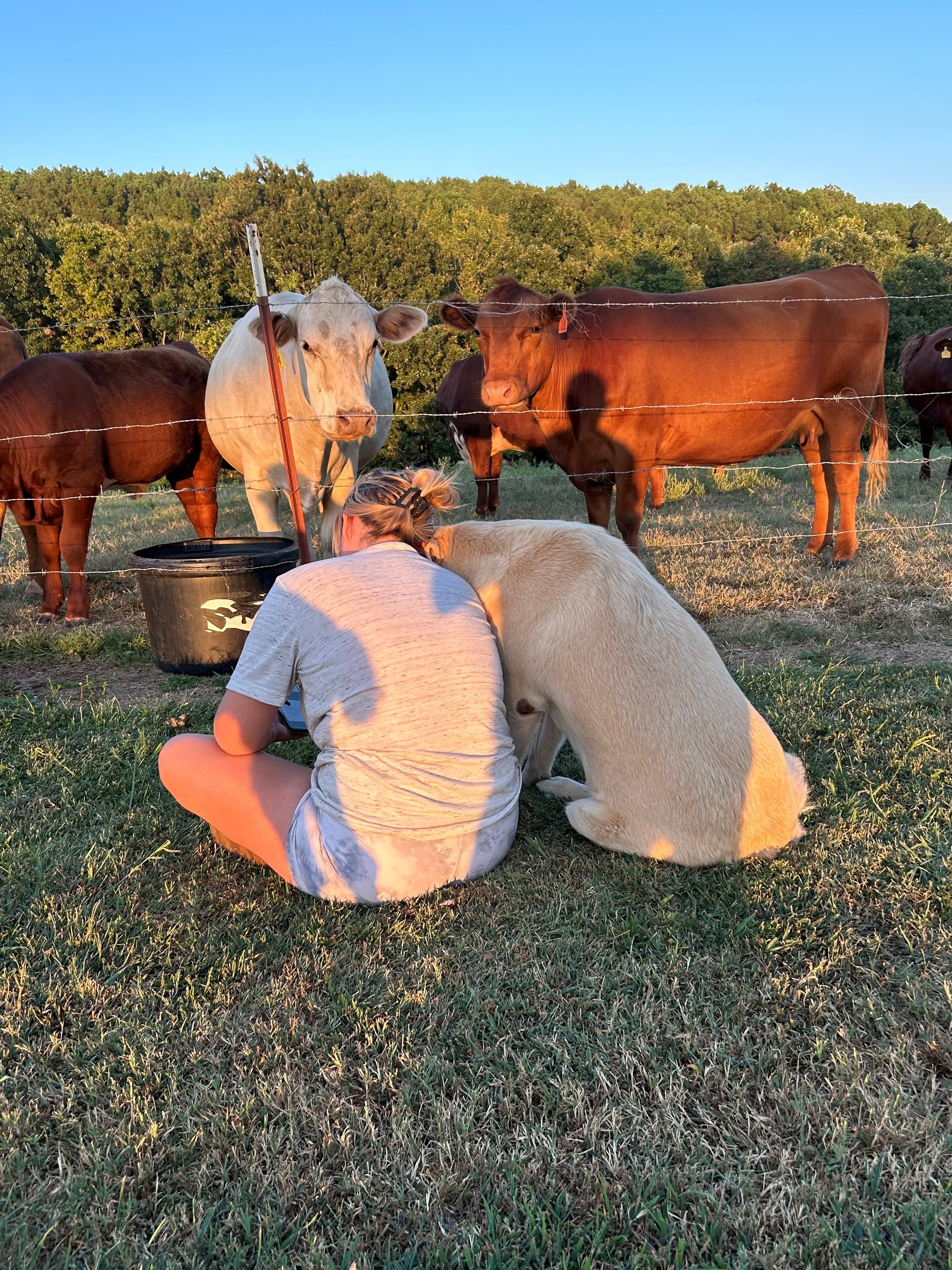Me and Doz and the cows.jpg