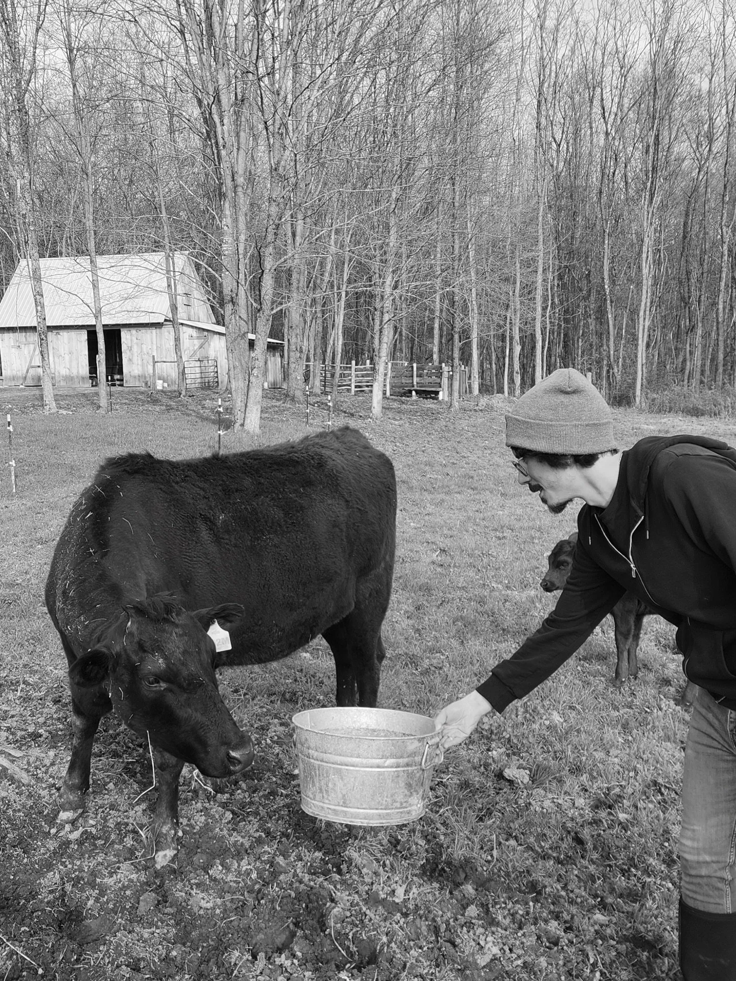Happy Earth Day!!

VGD&rsquo;s commitment to environmental responsibility extends far beyond our cutting-edge facility.

Spent mash from the distilling process is taken from the still and sent to local farms to provide nutritious feed for cattle. Our