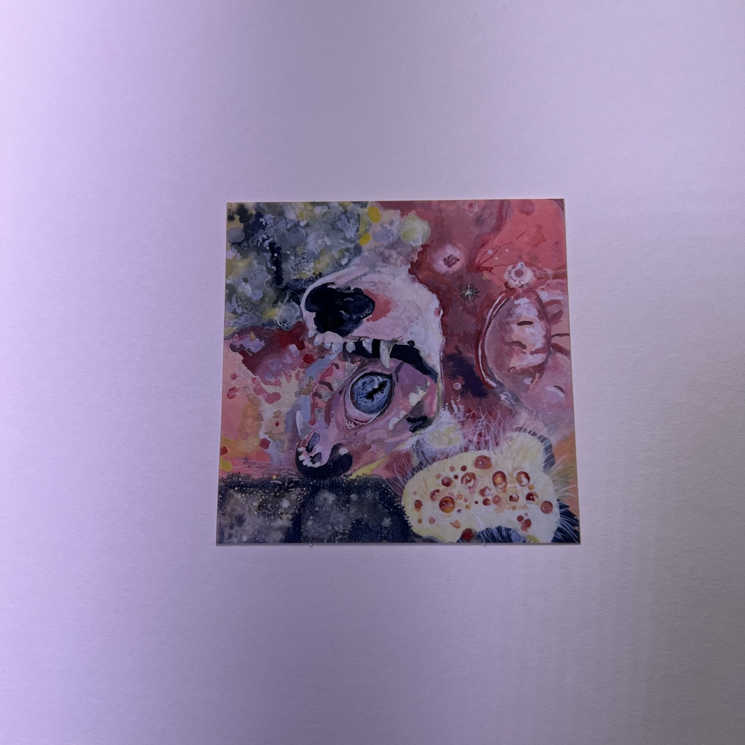 IMG_9701.jpeg