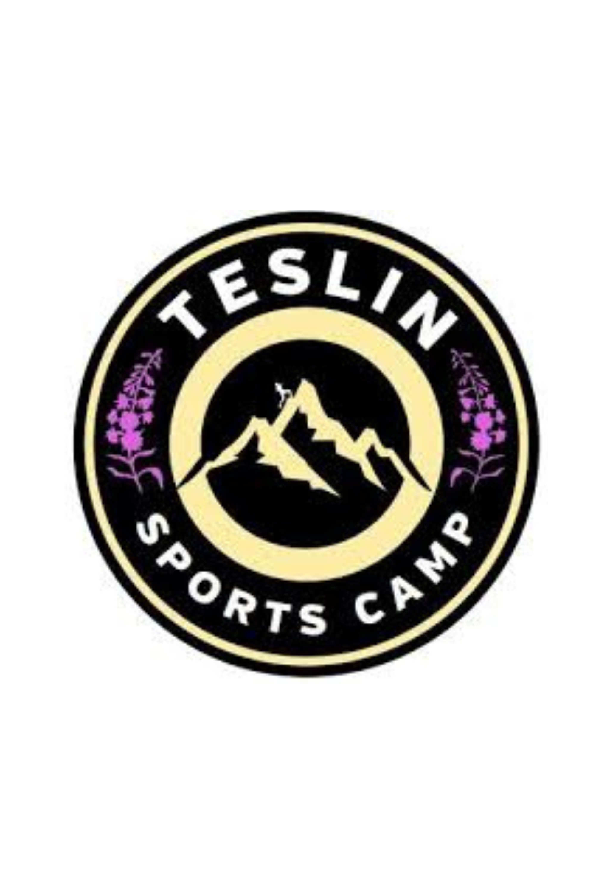 Teslin Indoor Bonspiel