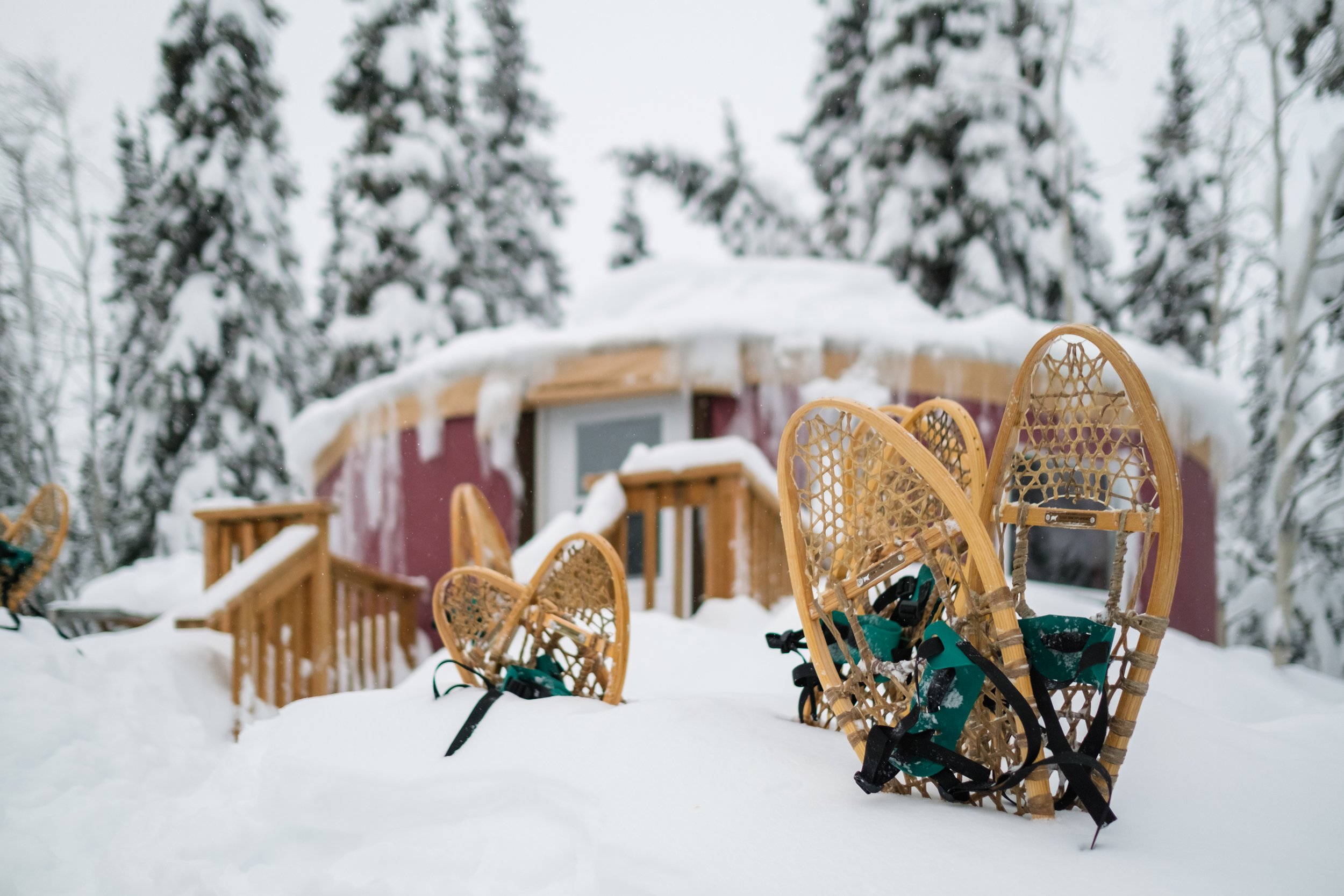 WildAdventureYukon Only.jpg