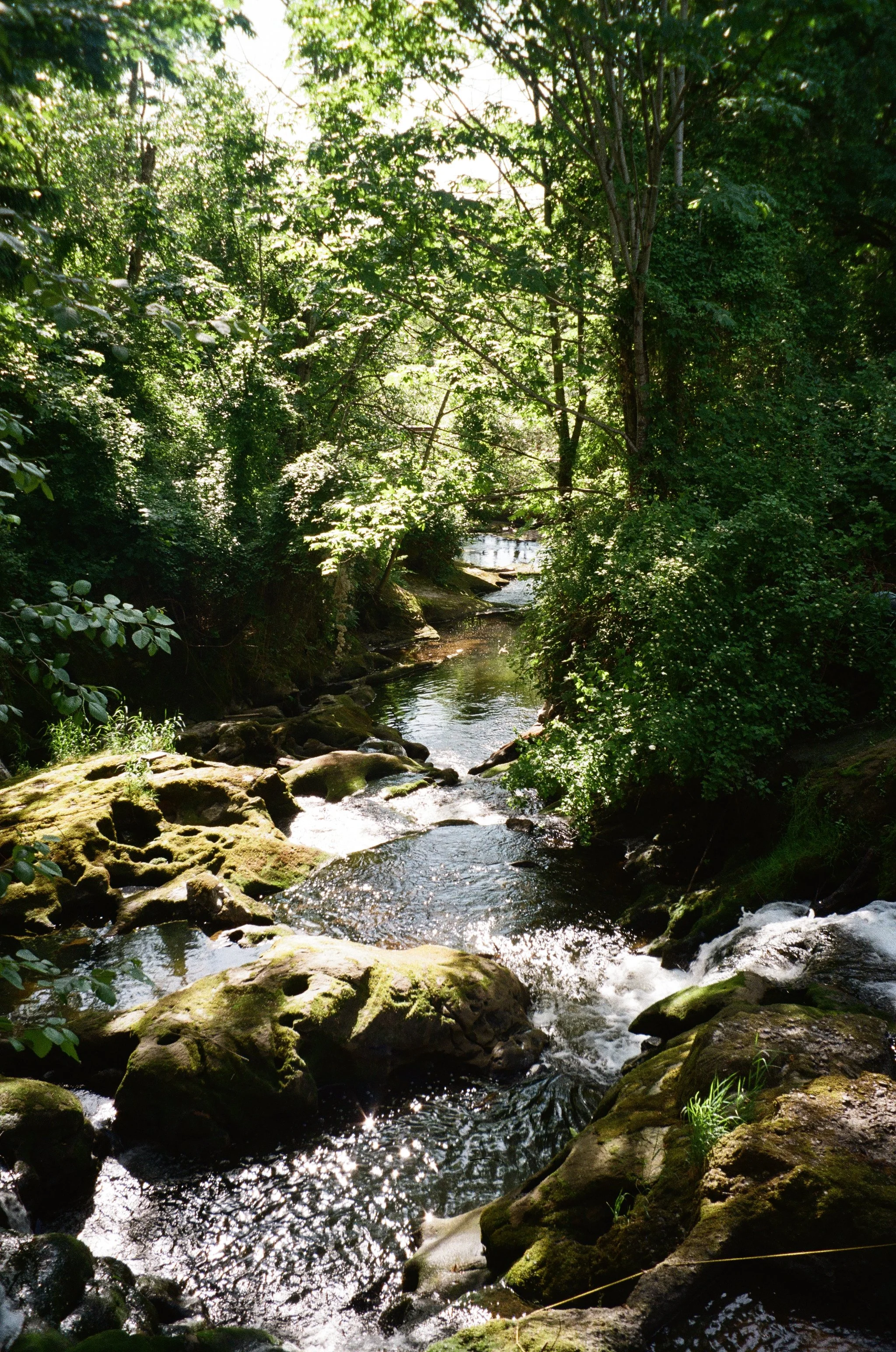 Water rushes through Whatcom Creek in the heart of downtown Bellingham, Wash.