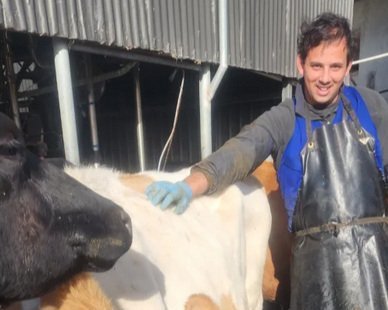 RNZ Country Life Podcast