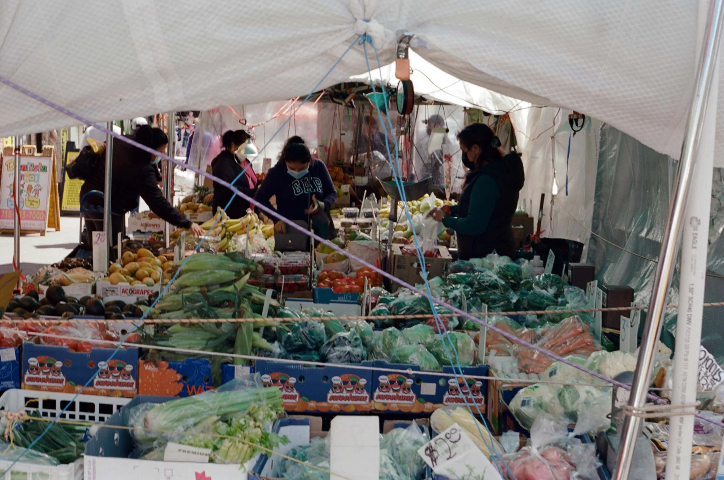 427045_8504_07_9 copy.jpg