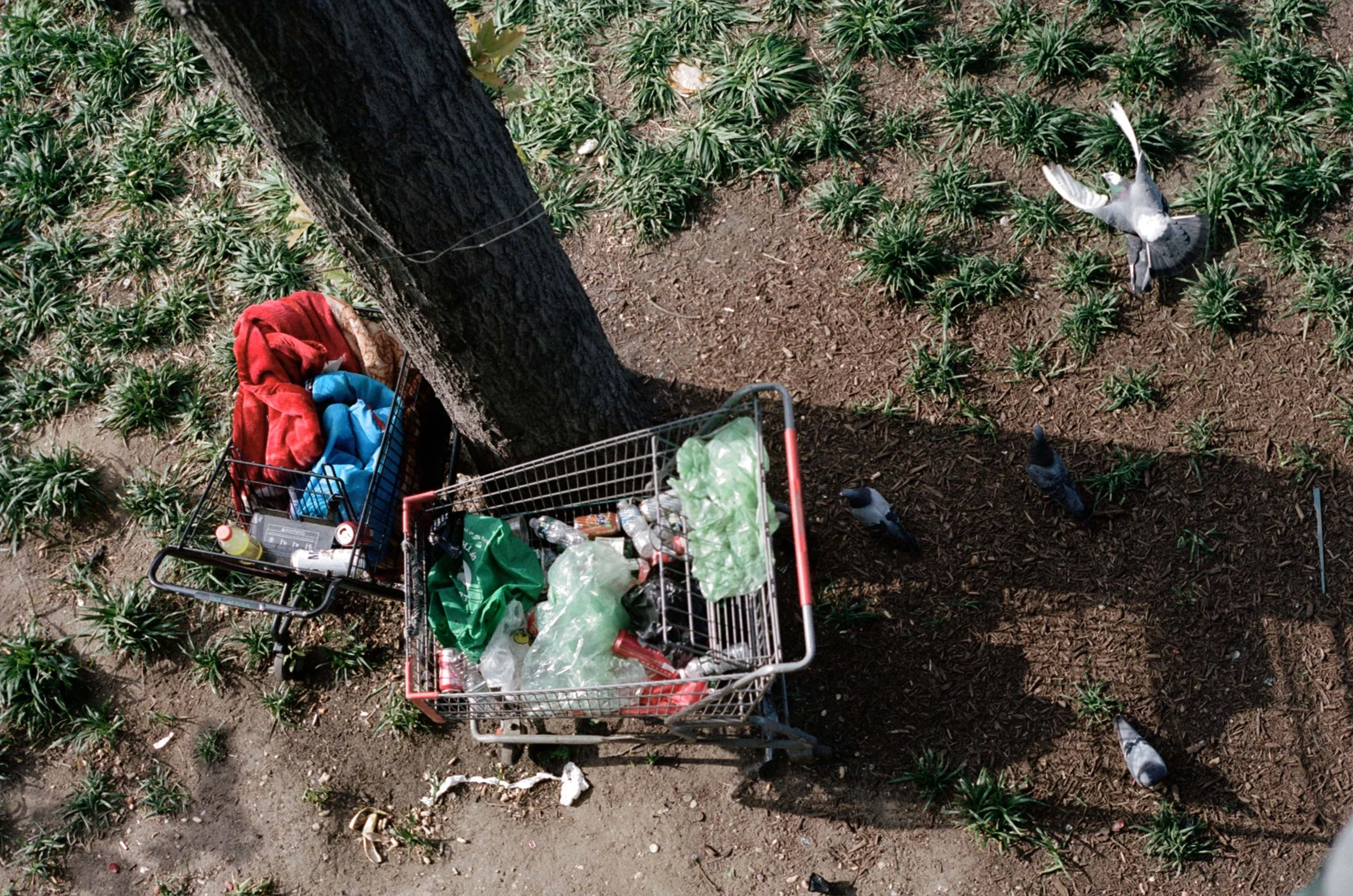 427500_9148_17_17A copy.jpg