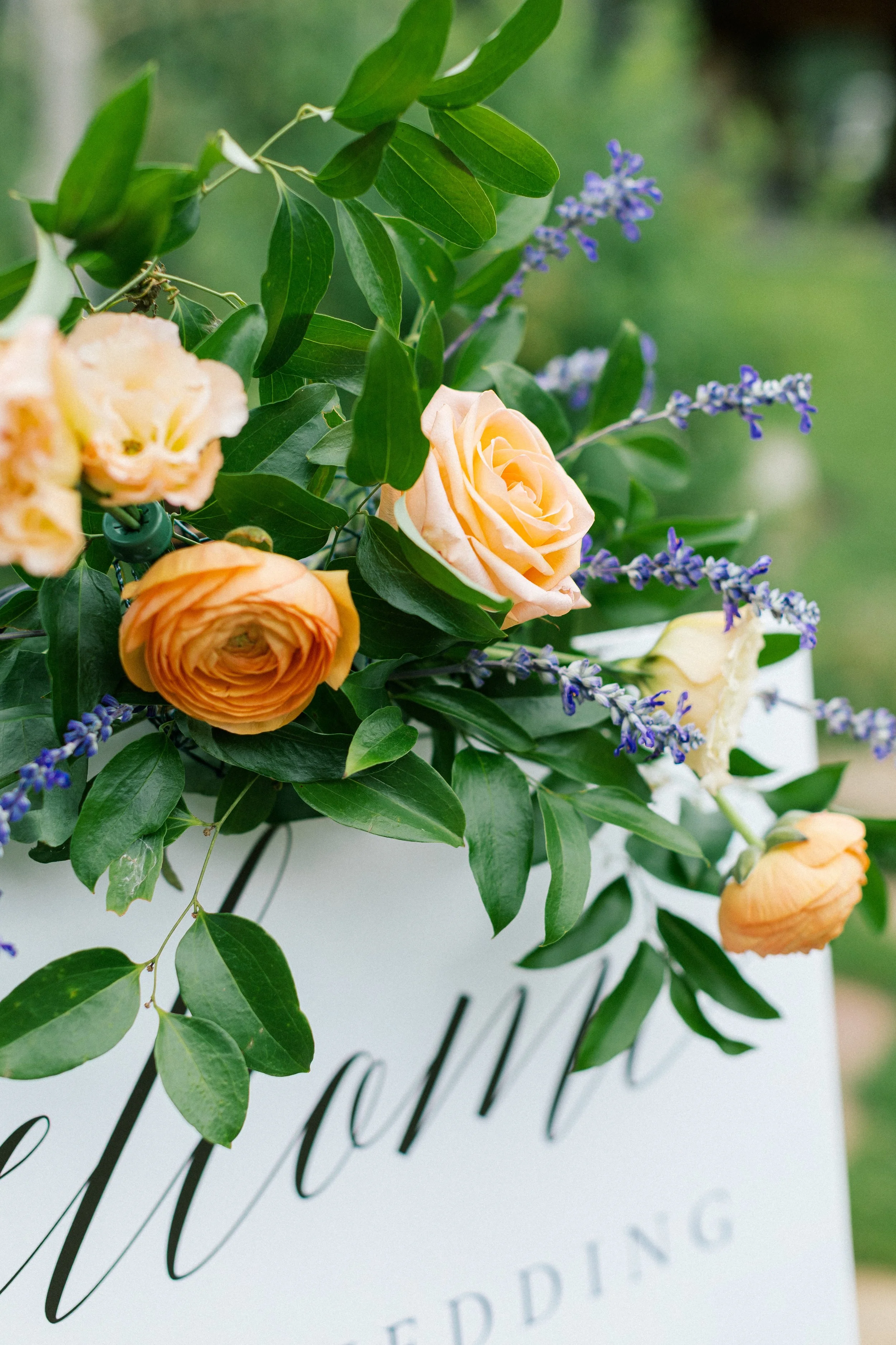 Greene - Feder Wedding - Ceremony-4.jpg
