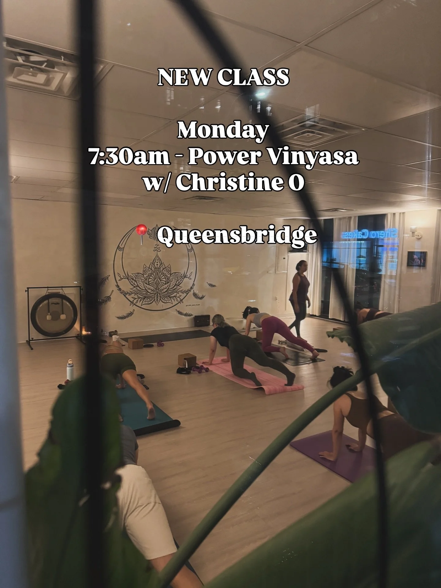 For our early birds 🐦 - a new 7:30am Power Vinyasa is landing next Monday.

Start your week grounded, energized, and clear before the city wakes up. 

@fun2befit_nyc