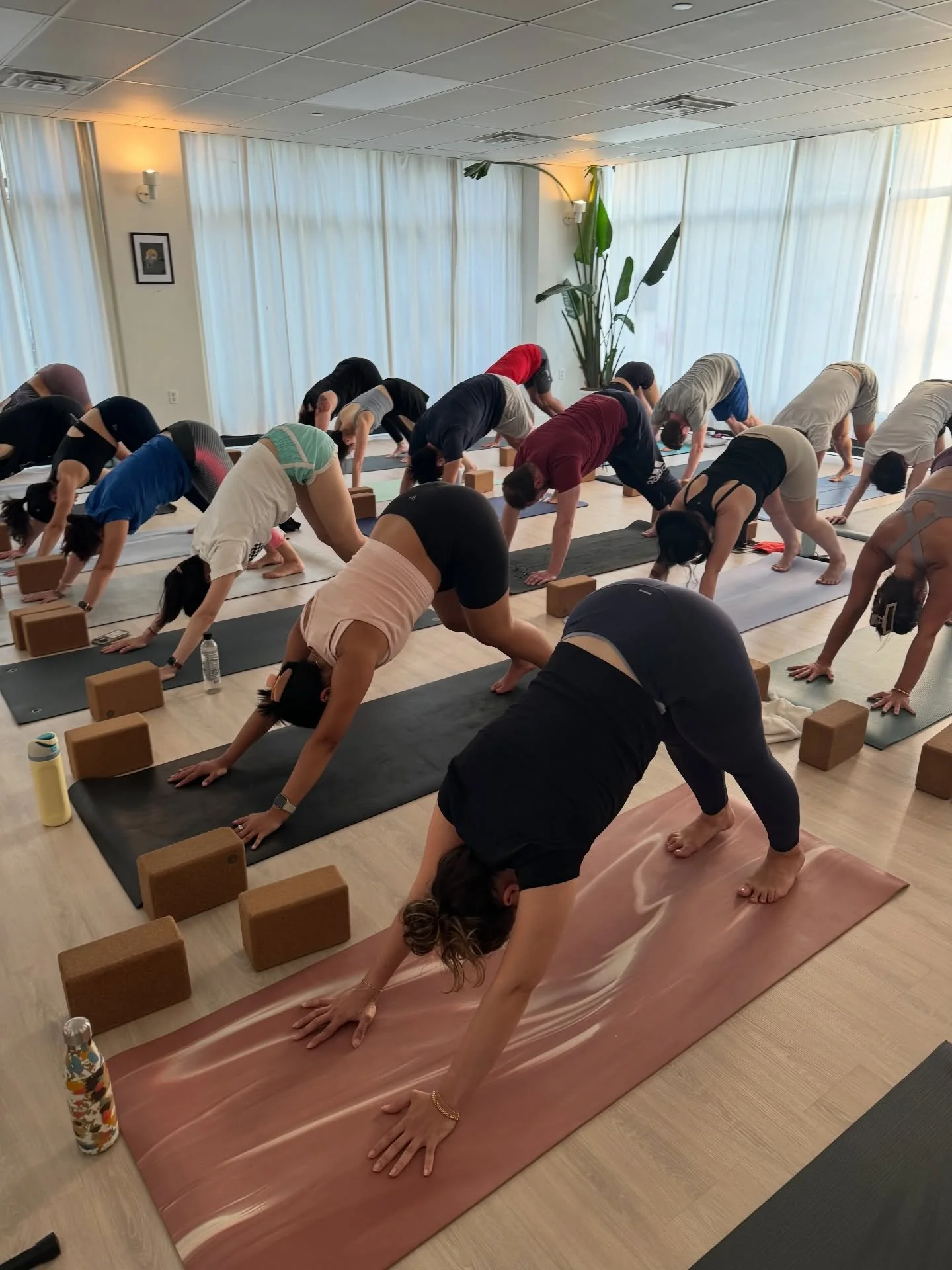 Today you showed up a little braver, a litter wiser, a little more you than yesterday. 🌱

#yogi #formandflow #formandflowyoga